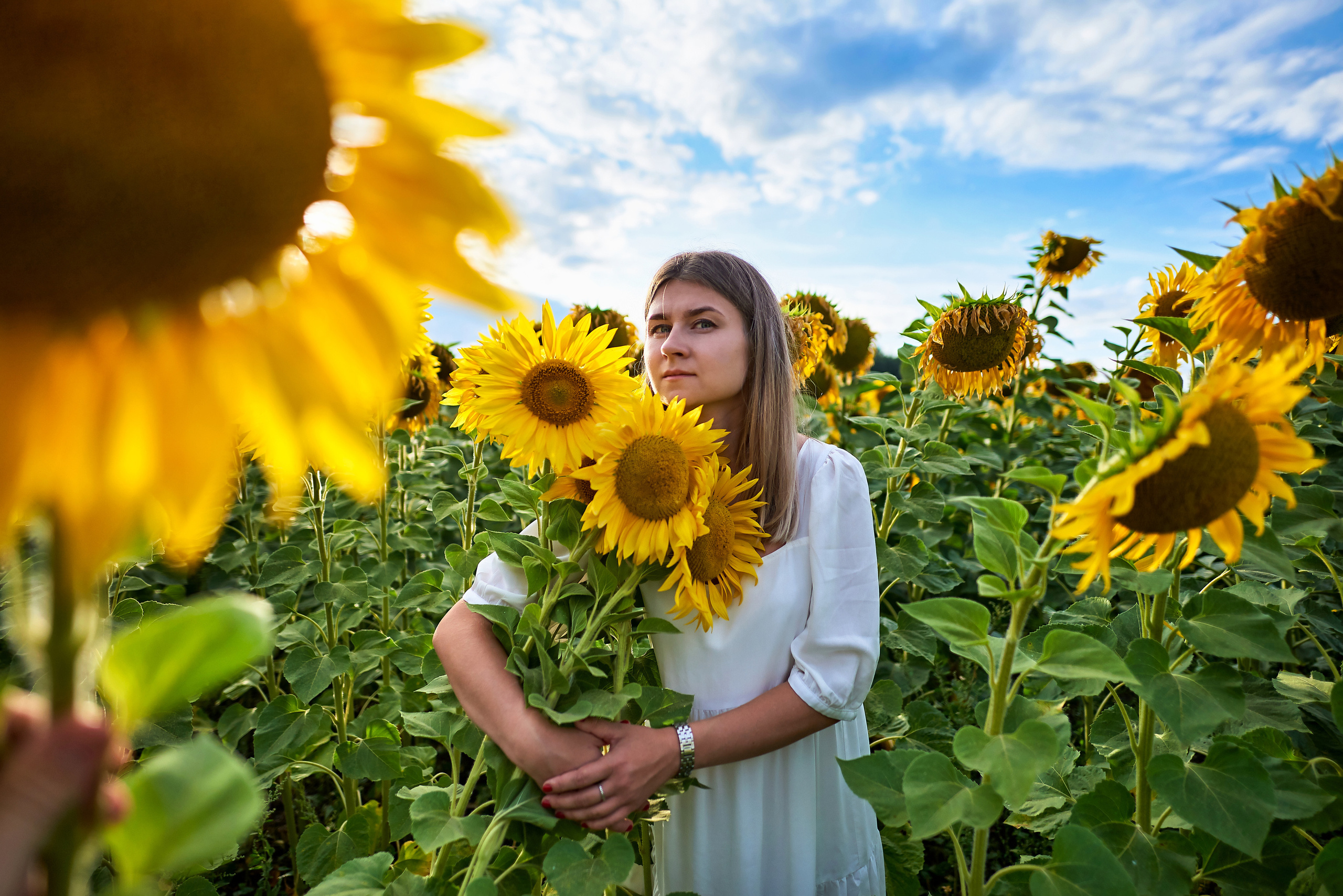 В подсолнухах. Фотосъемка мероприятий