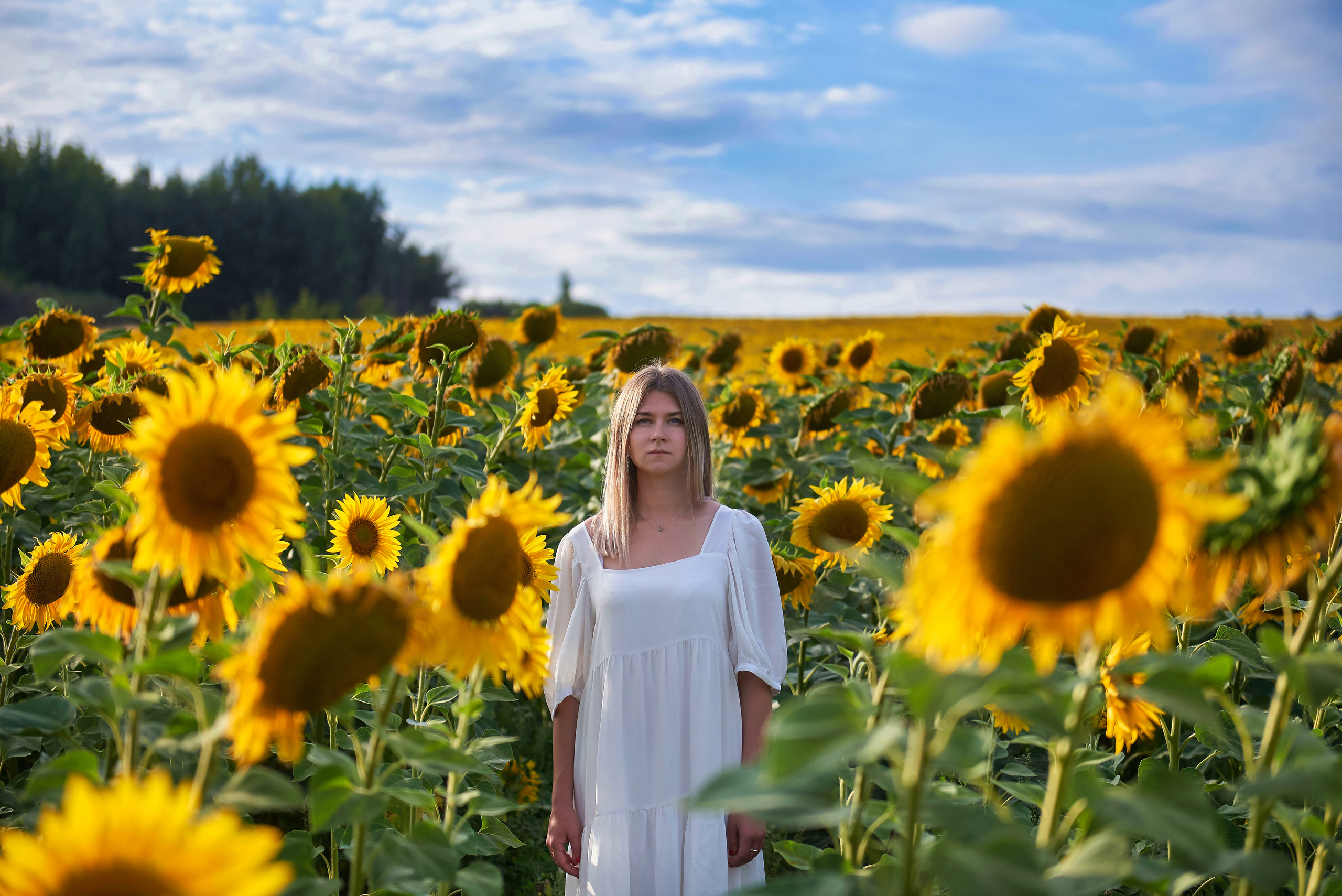 В подсолнухах. Фотосъемка мероприятий