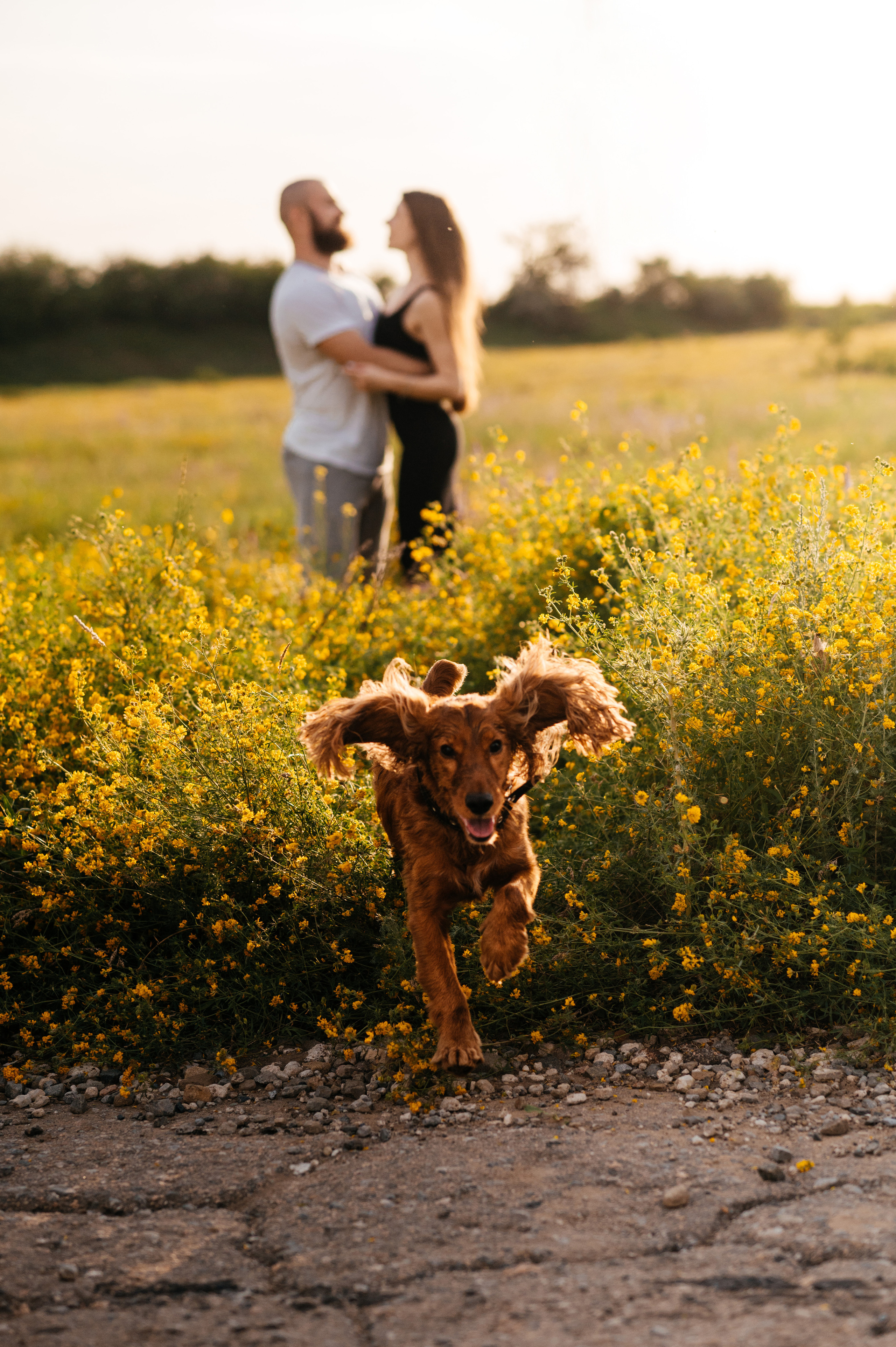 Оля и Максим. Свадебный фотограф в Донецке — Вита Донец