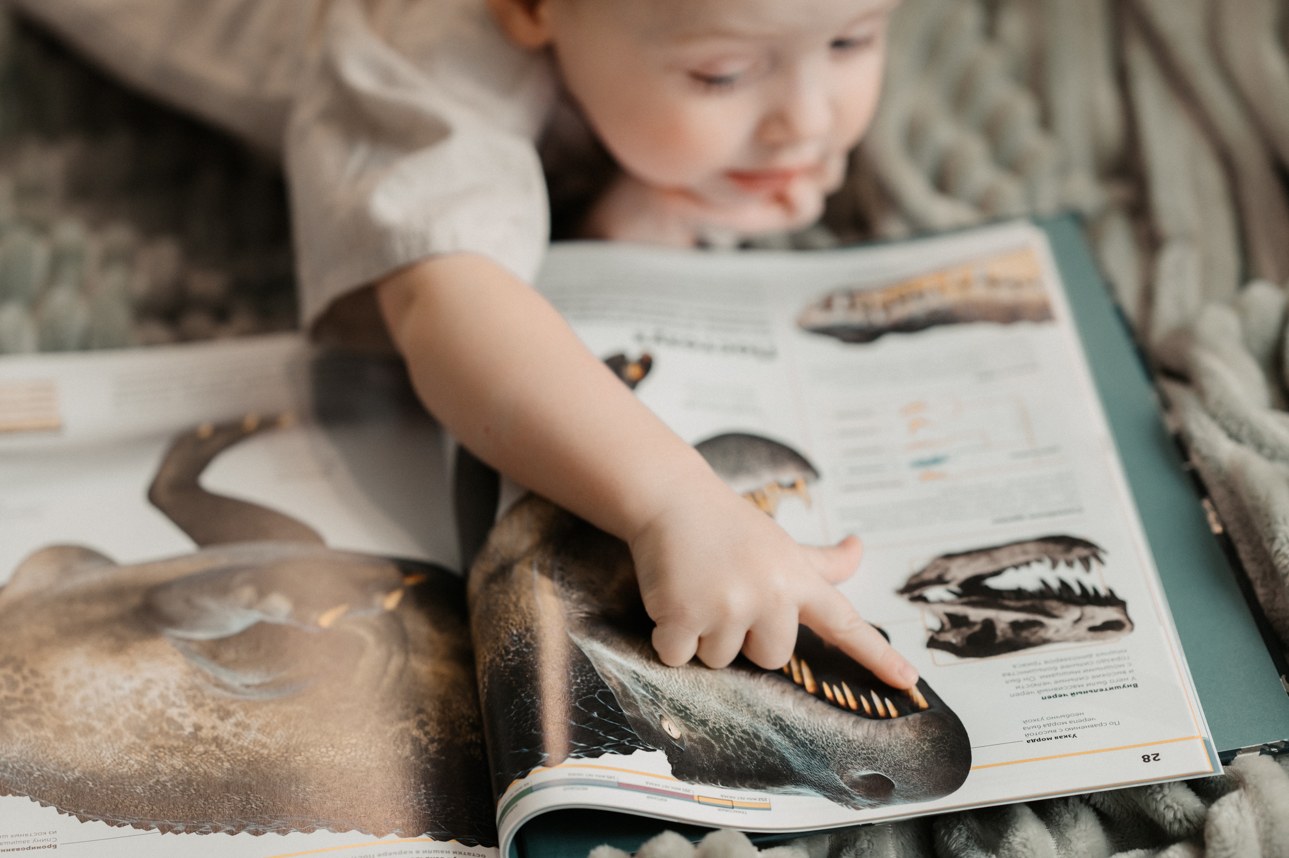 3+1. Фотограф Ким Ангелина