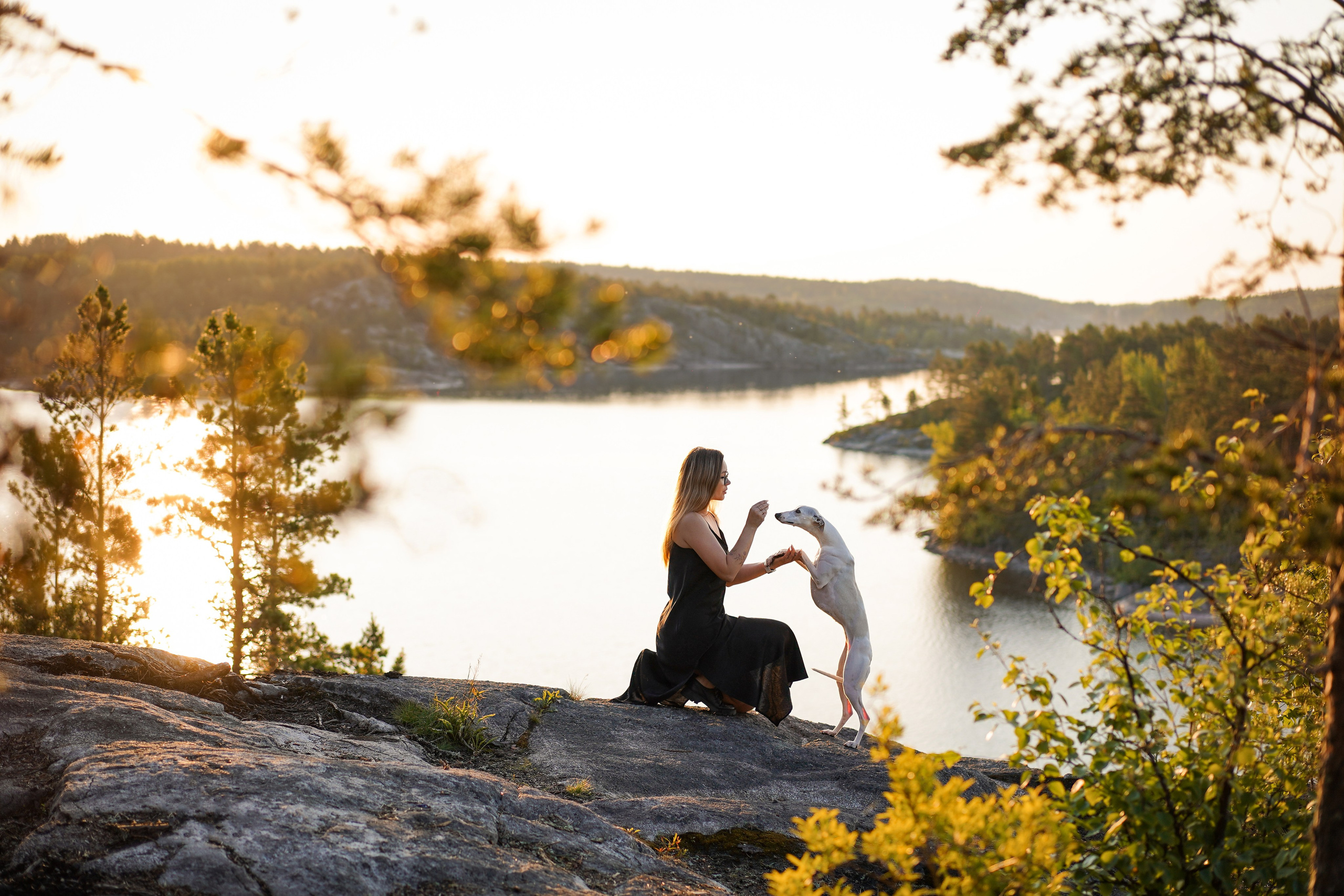 Даша Фифа Гага и Вениамина. Фотограф-анималист в Санкт-Петербурге Яна Мартынова