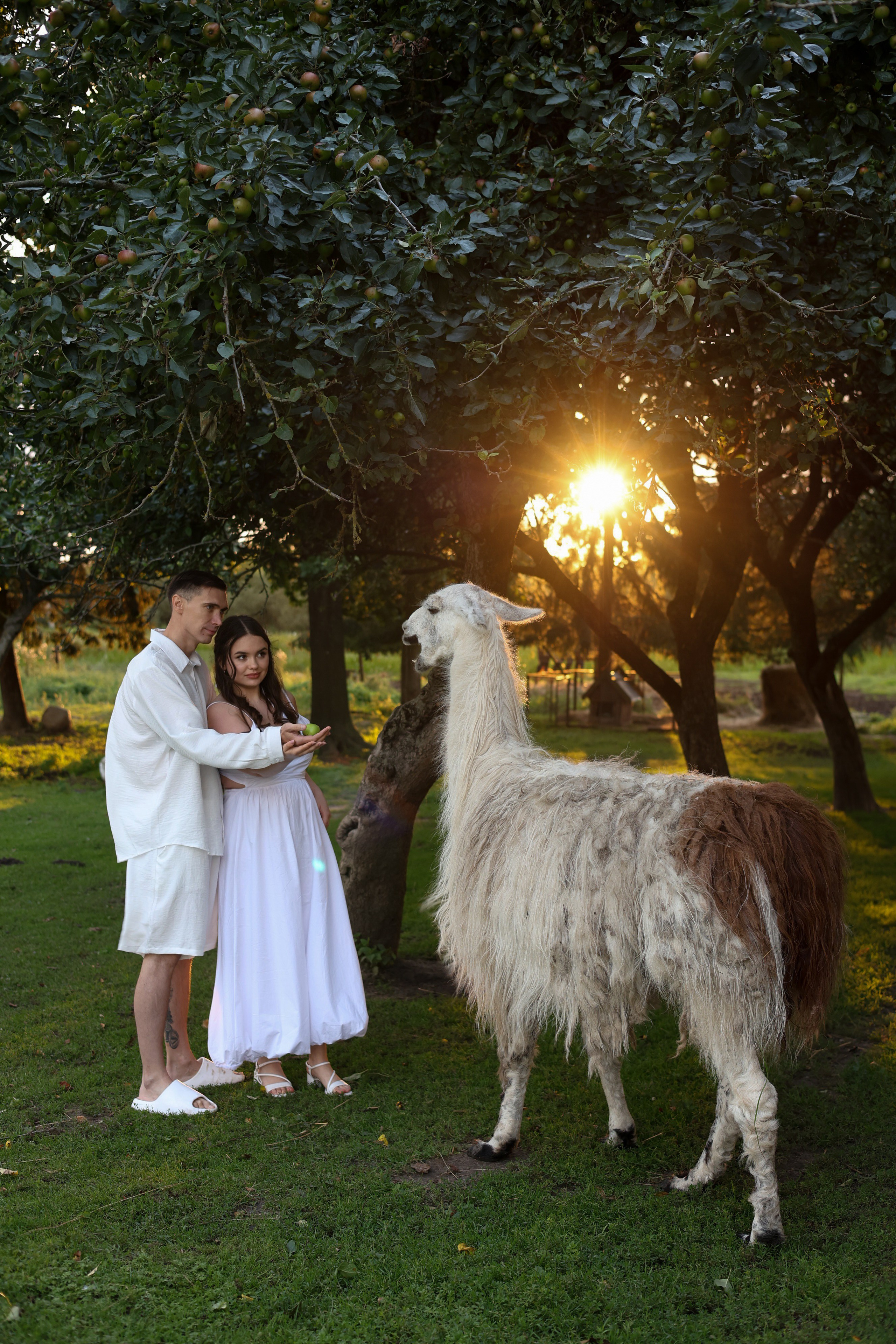Алина & Сергей. Фотограф в Калининграде Сокирко Светлана