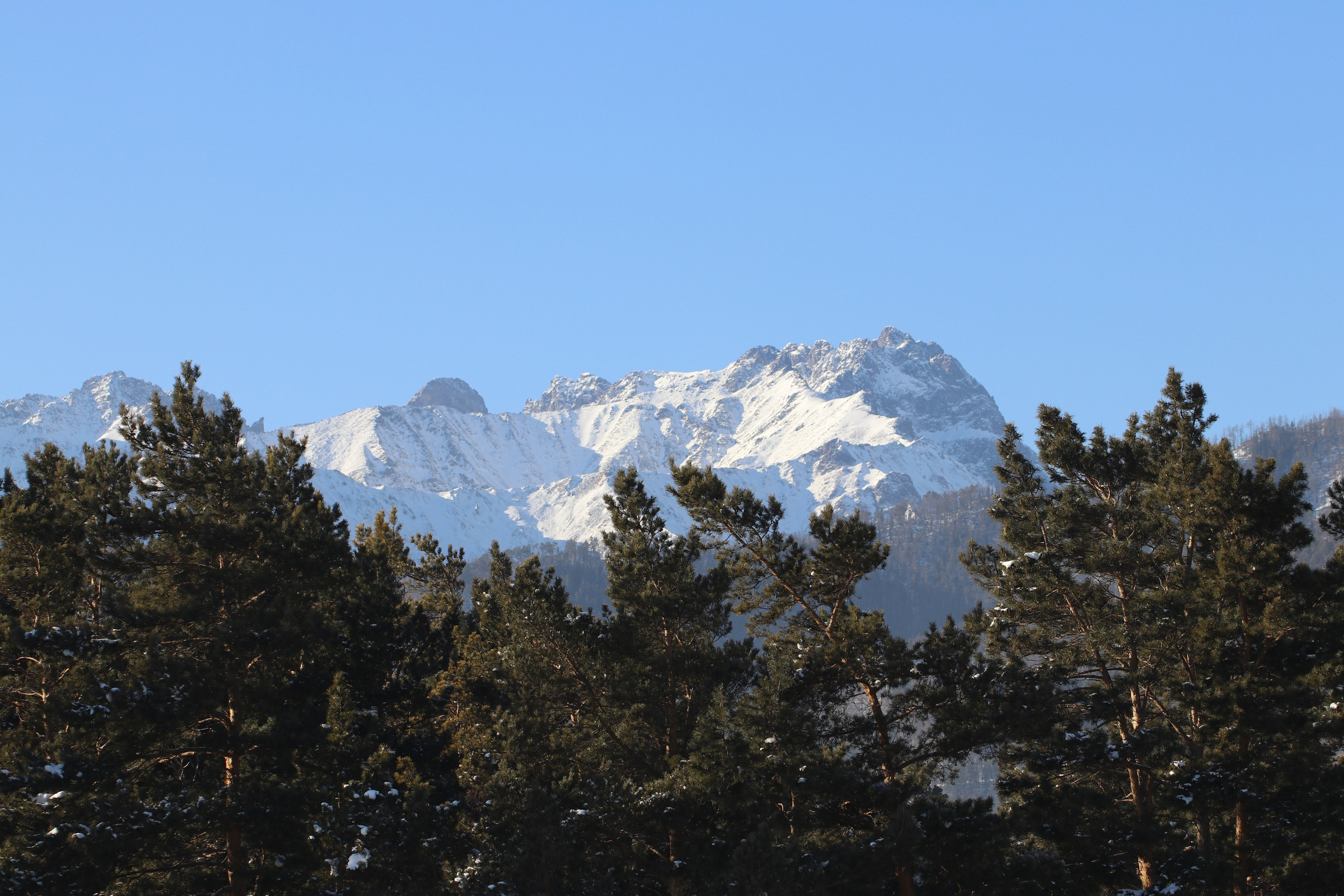 Аршан. Январь 2022. Путешественник-фотограф из Санкт-Петербурга Татьяна Свистулина