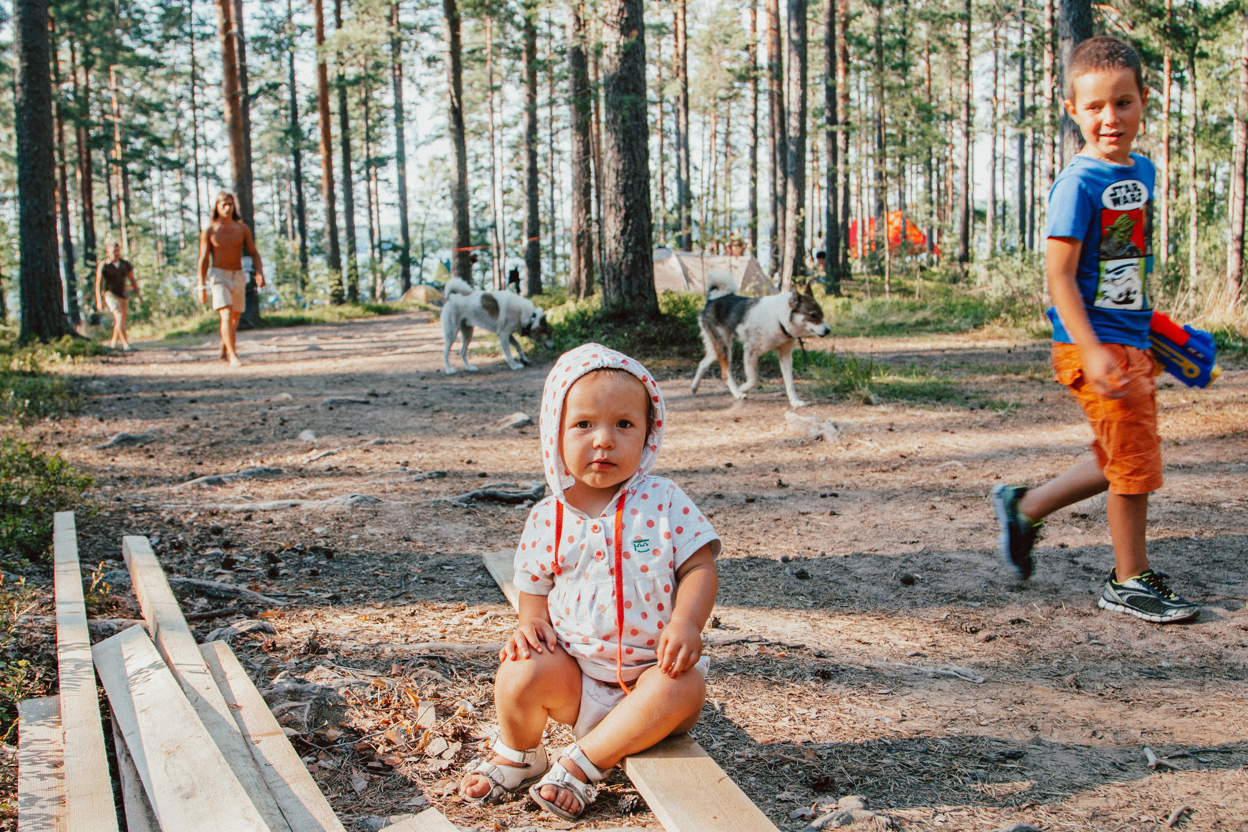 Ленинградская область (серия книг «Крым — Путь к Свободе»)». Репортажный фотограф во Всеволожске и Санкт-Петербурге Владимир Капустин
