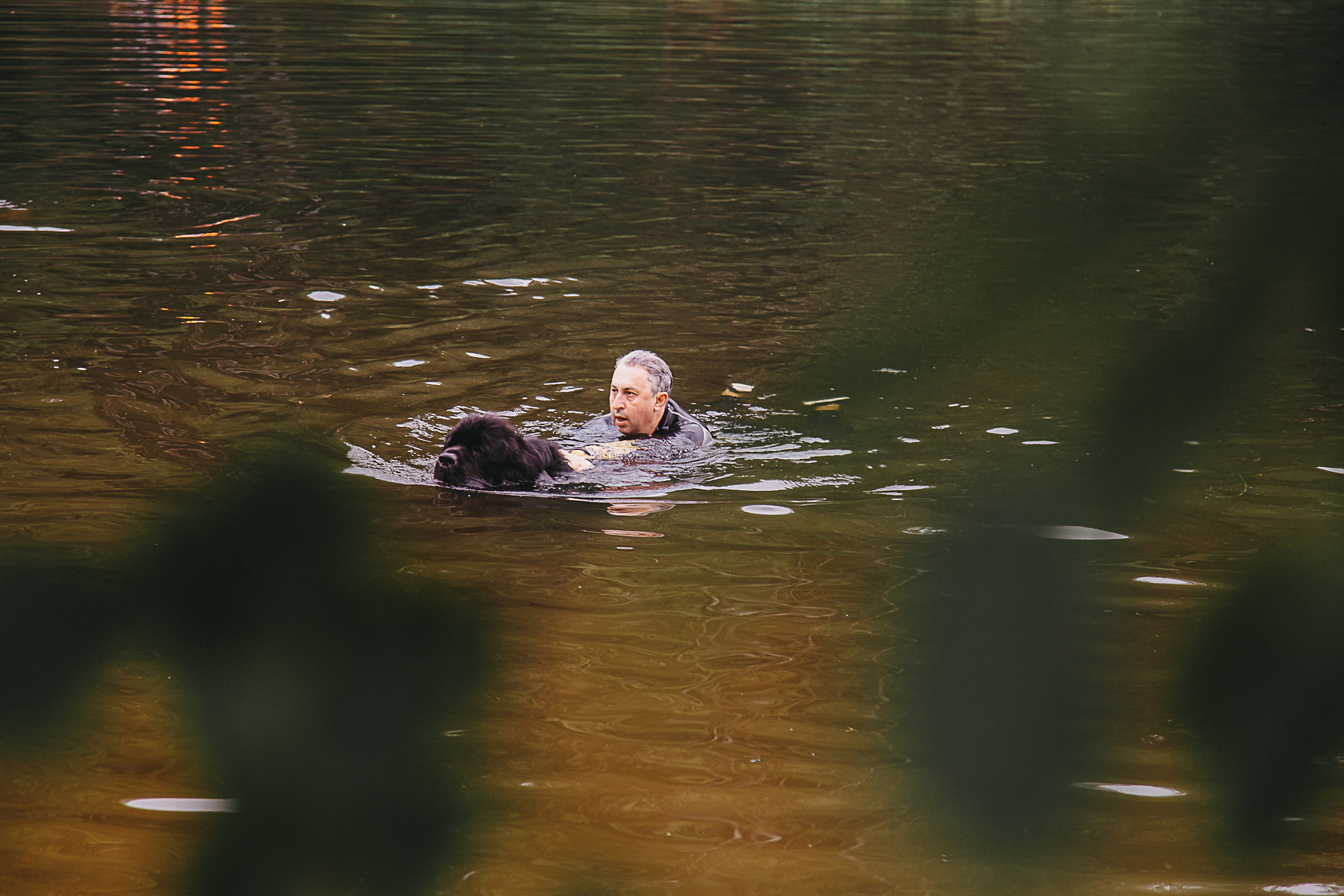 Dog Пати. Свадебный Семейный Репортажный фотограф в Москве