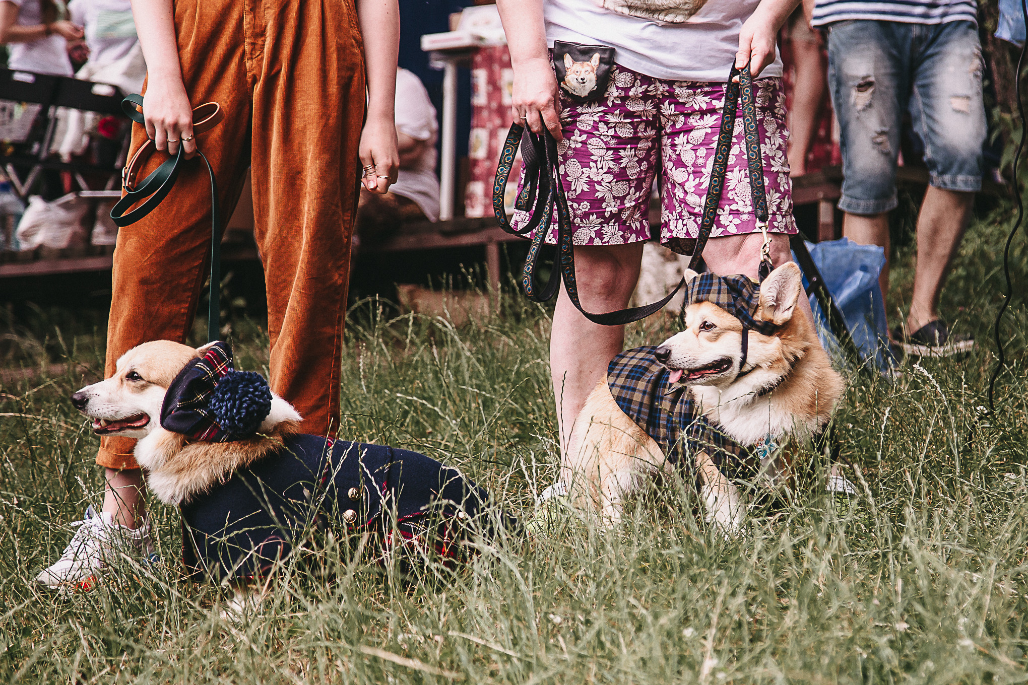 Dog Пати. Свадебный Семейный Репортажный фотограф в Москве