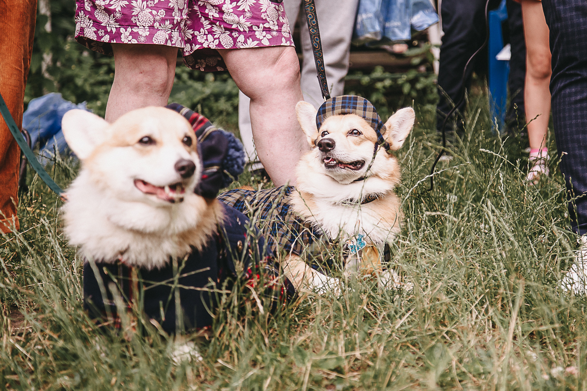 Dog Пати. Свадебный Семейный Репортажный фотограф в Москве