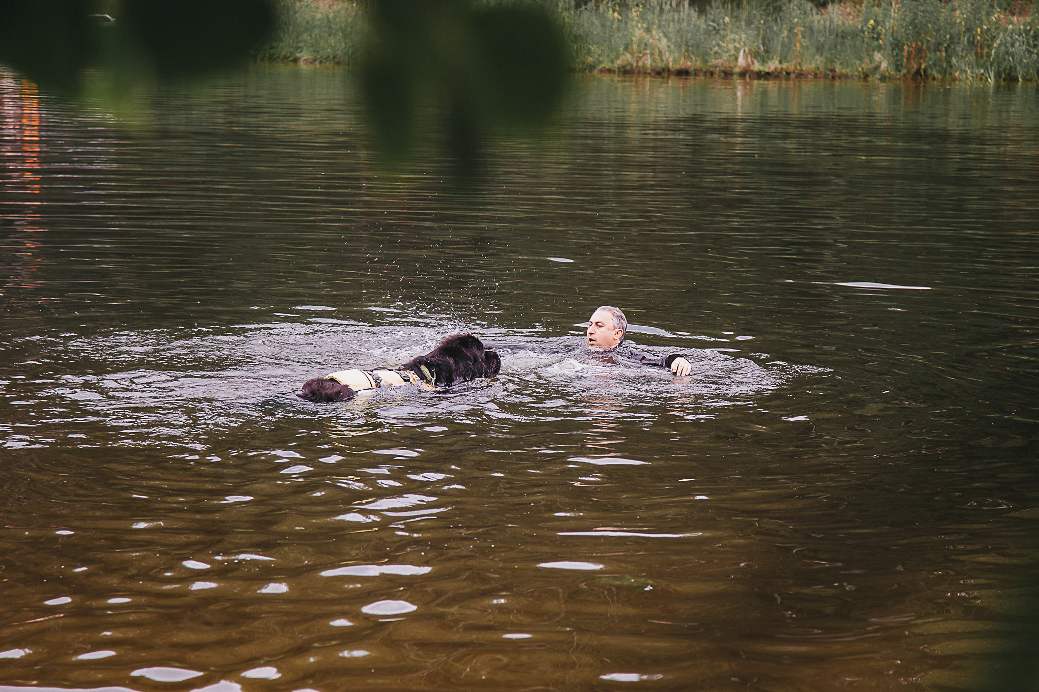 Dog Пати. Свадебный Семейный Репортажный фотограф в Москве