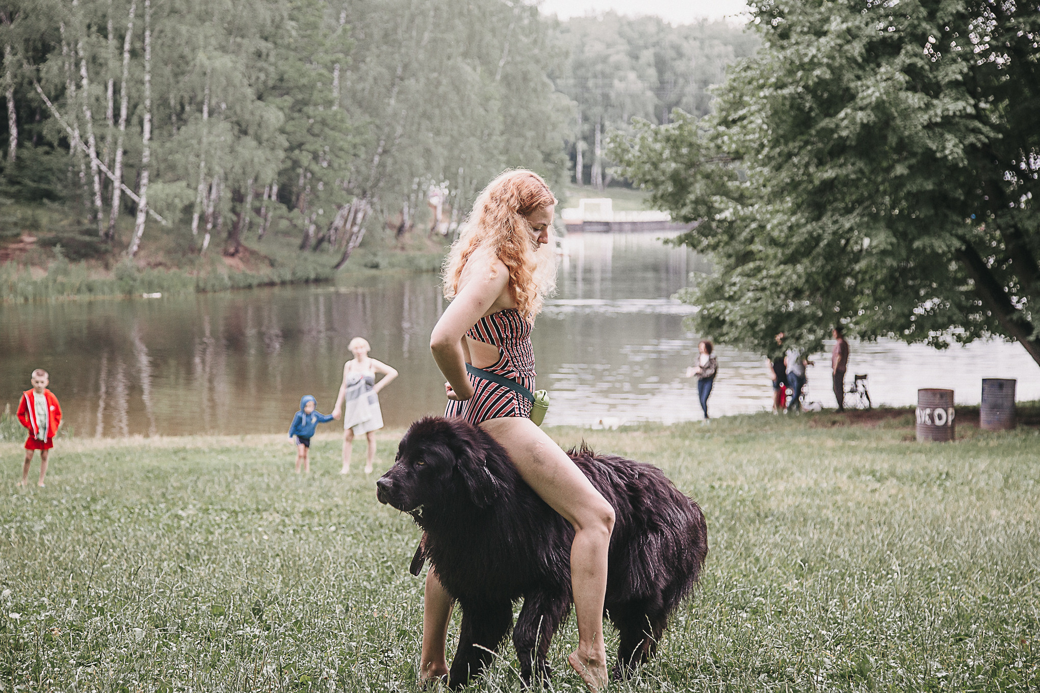 Dog Пати. Свадебный Семейный Репортажный фотограф в Москве