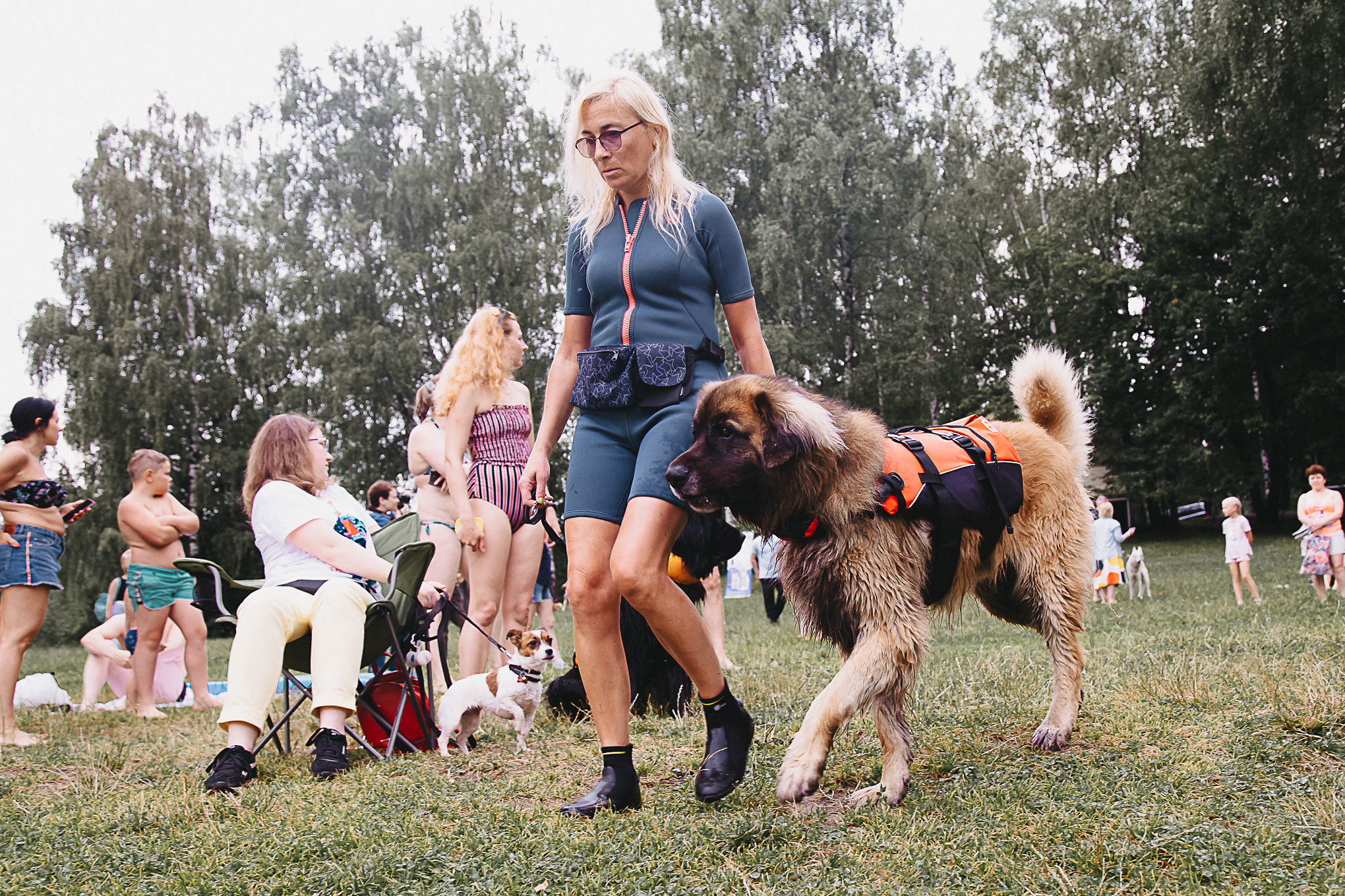 Dog Пати. Свадебный Семейный Репортажный фотограф в Москве