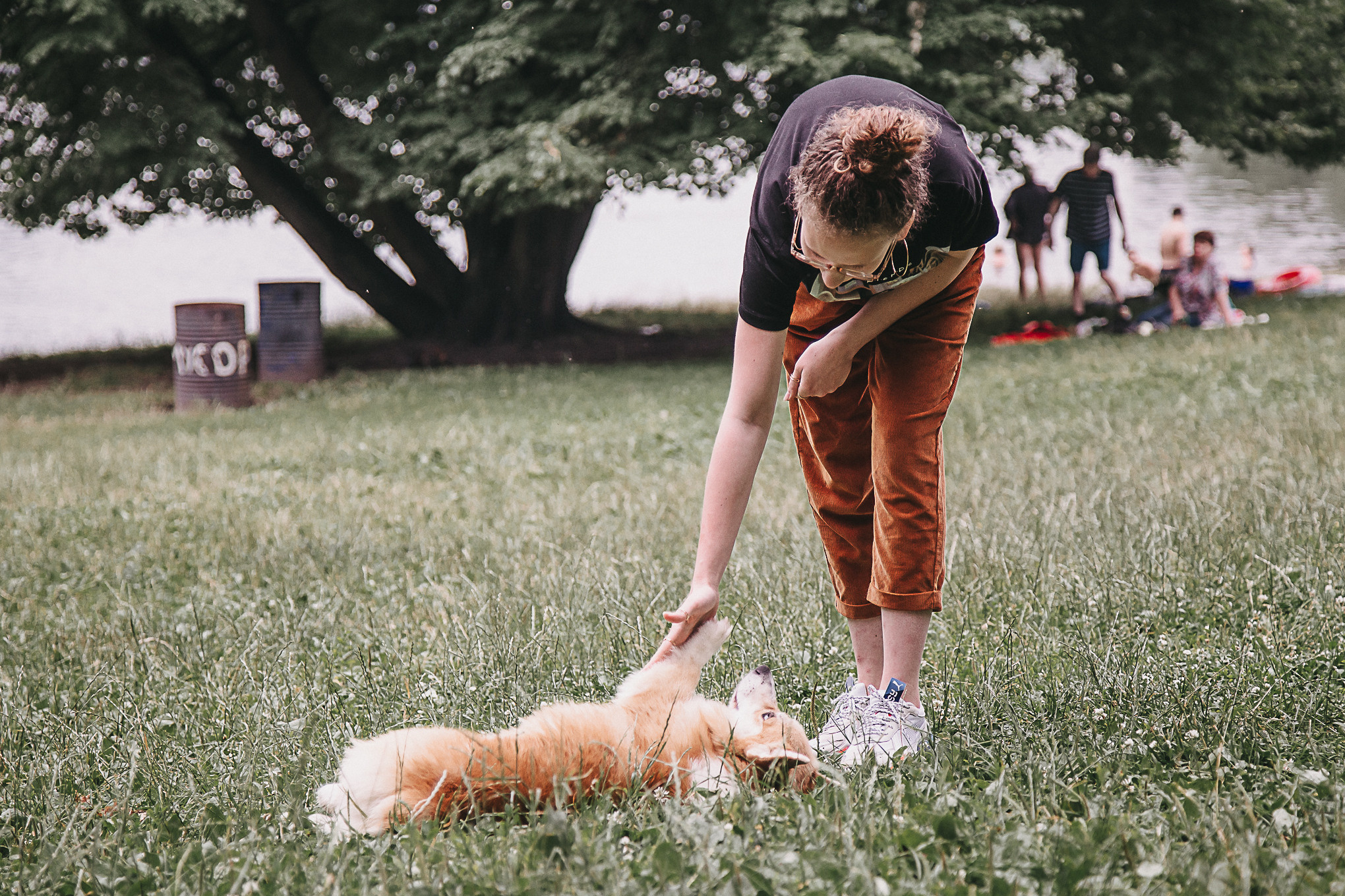 Dog Пати. Свадебный Семейный Репортажный фотограф в Москве