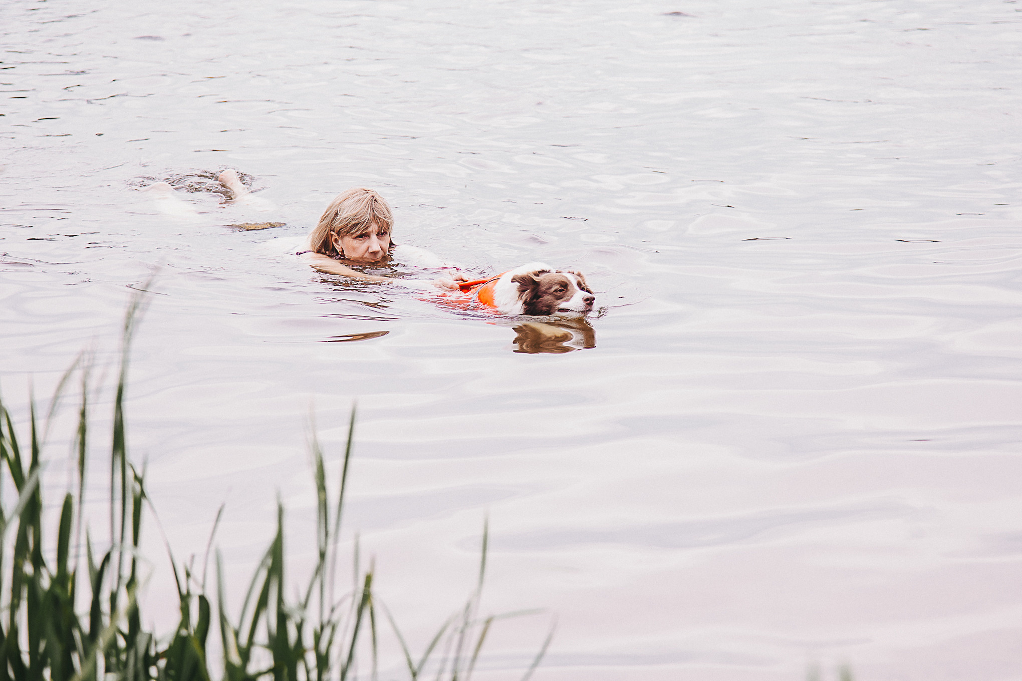 Dog Пати. Свадебный Семейный Репортажный фотограф в Москве