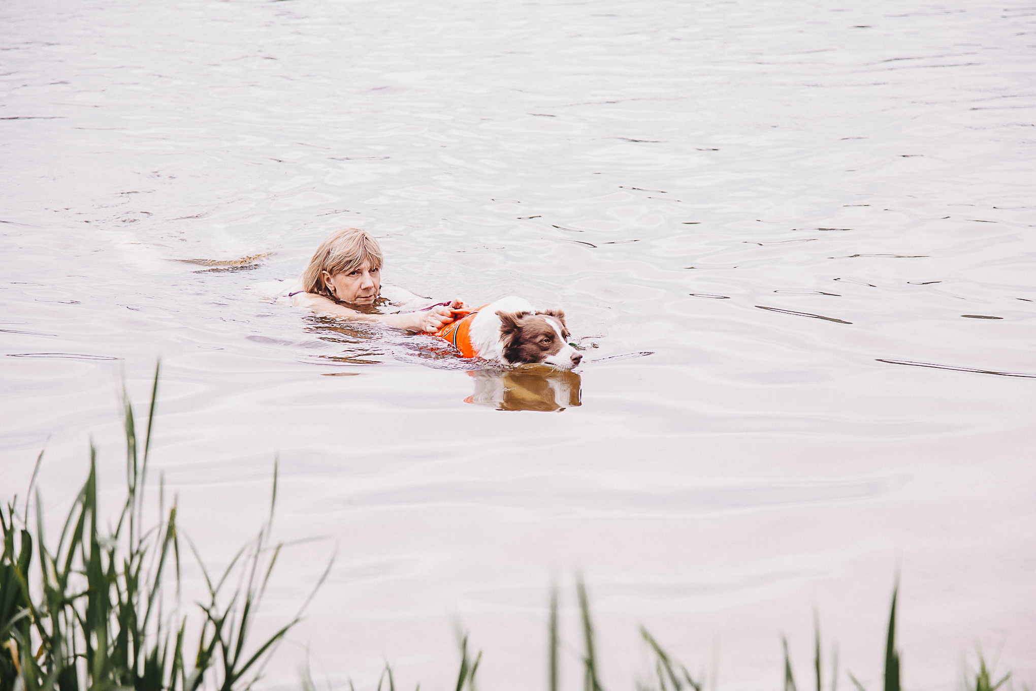 Dog Пати. Свадебный Семейный Репортажный фотограф в Москве