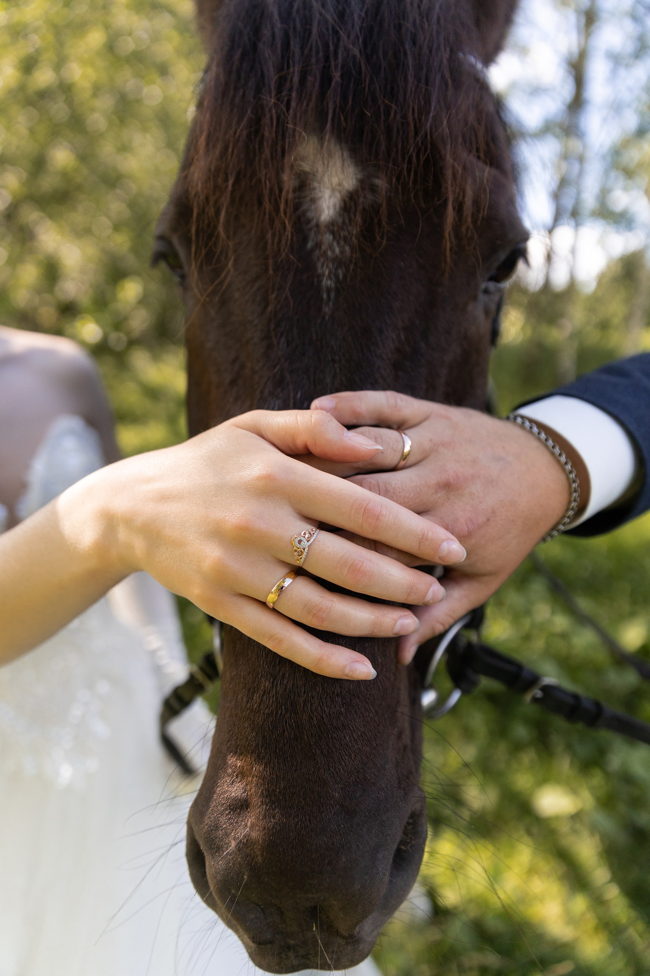 Свадьба и лошади. Свадебный и семейный фотограф Москва и Московская область