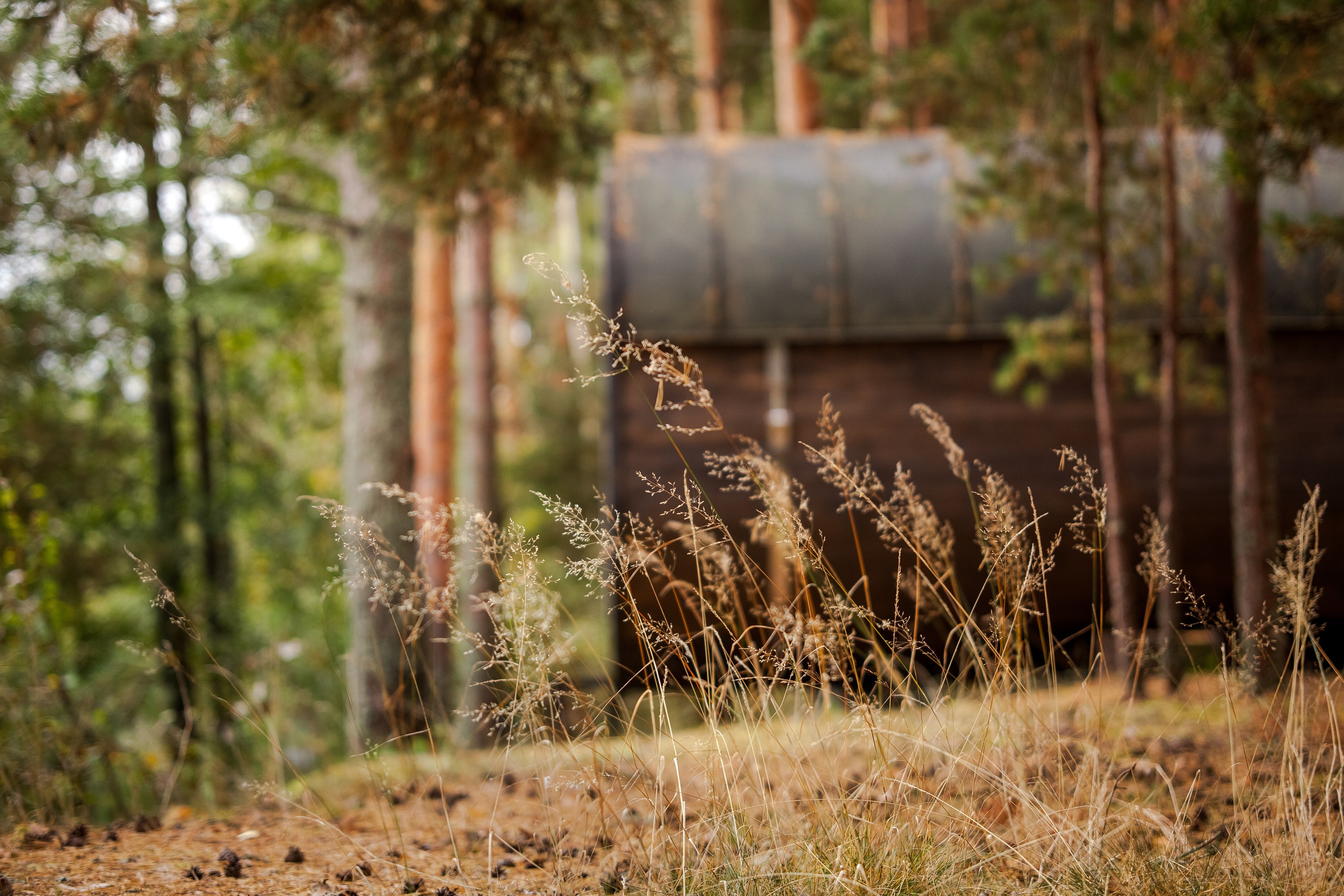 Остров «Свободы». Туманов Виталий — фотограф Москва