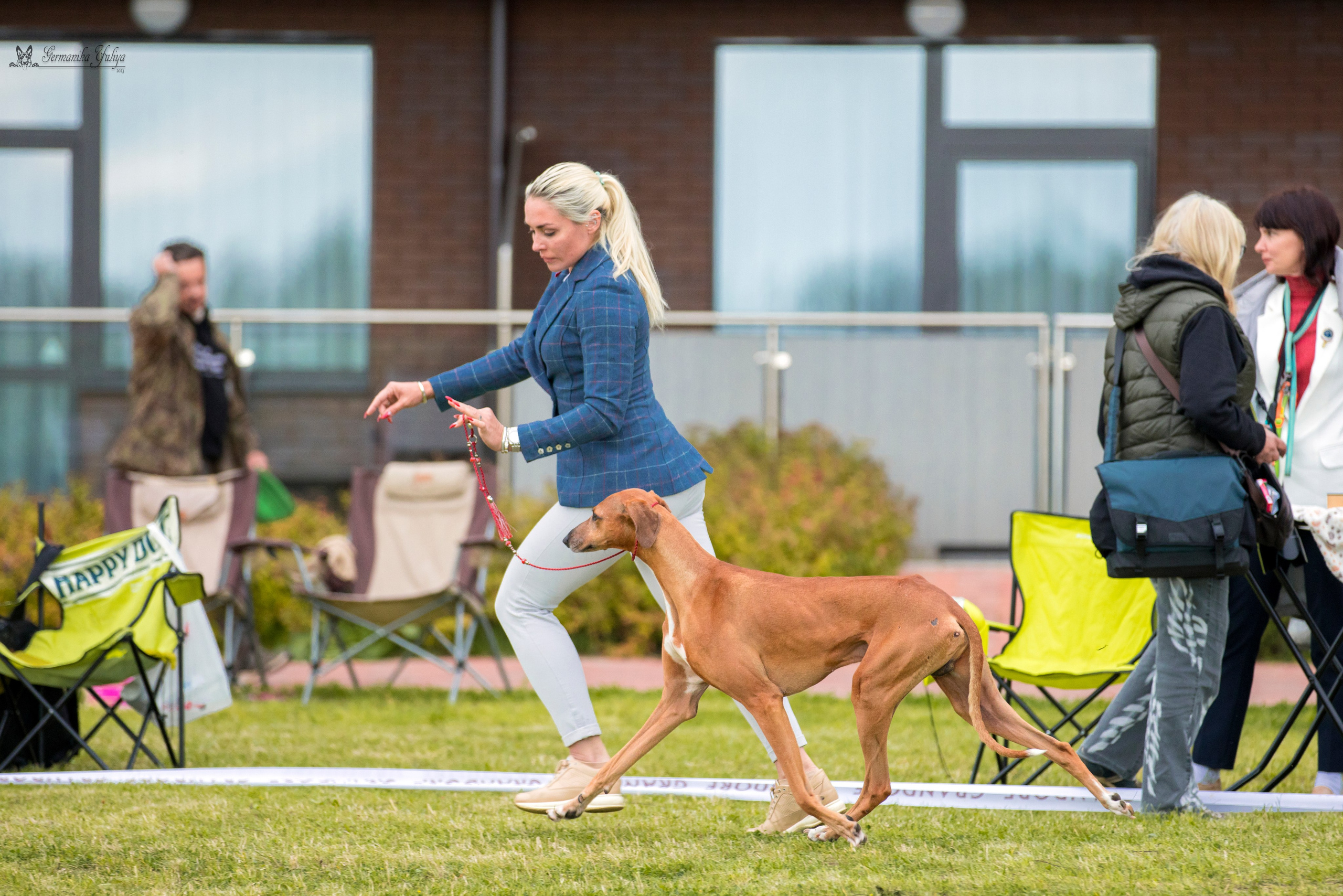 Переславль 9-10.09.2023. Фотограф-анималист Юлия Германика