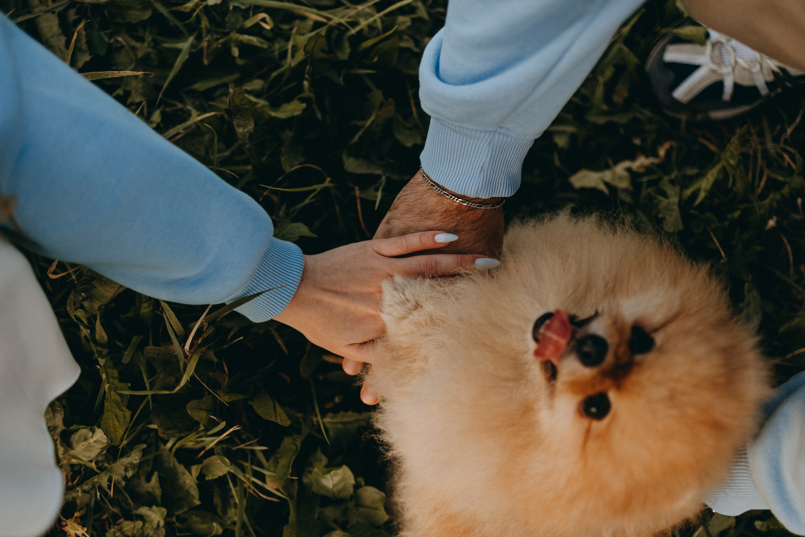 Стив и его семья. Фотограф — Анималист | Санкт-Петербург