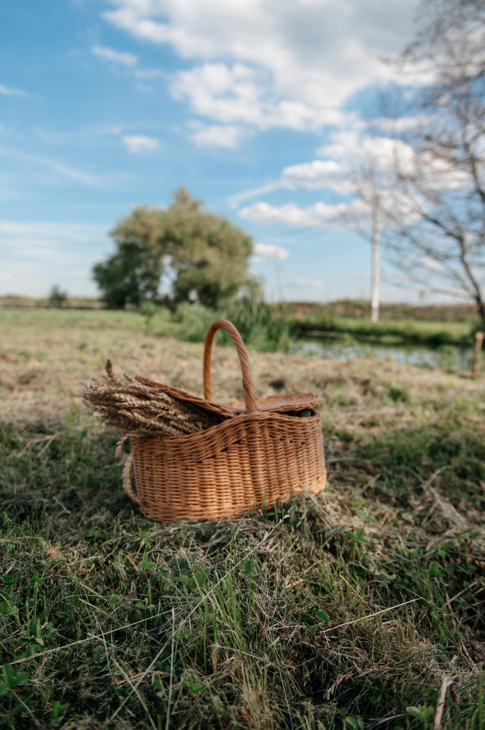 Пикник. Свадебный фотограф в Москве Юлия Лисой