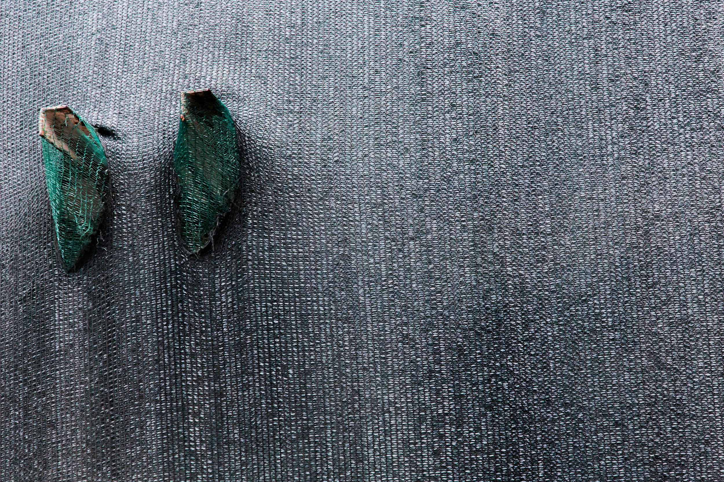 Татьяна Корчагина. Фотограф, художник. Обучение фотографии