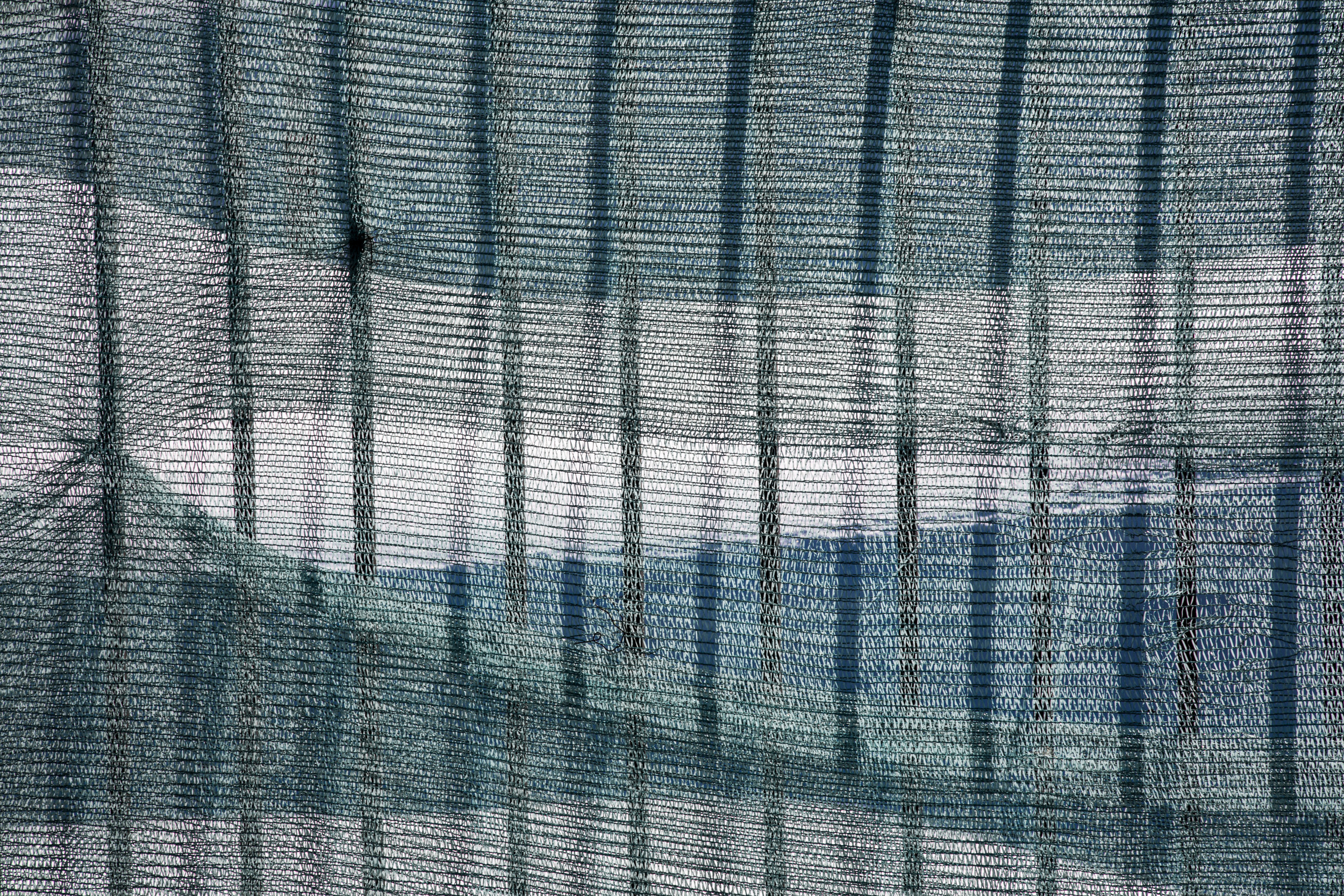 Татьяна Корчагина. Фотограф, художник. Обучение фотографии