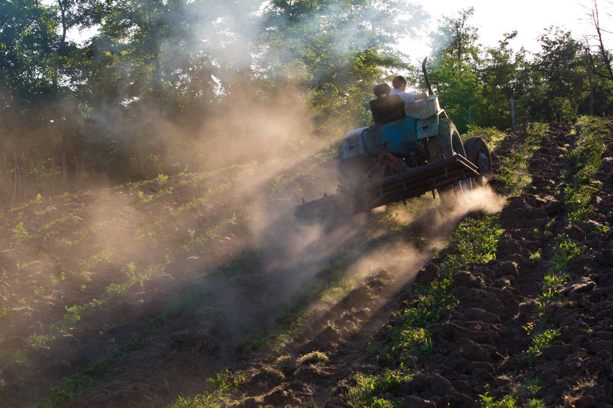 Татьяна Корчагина. Фотограф, художник. Обучение фотографии