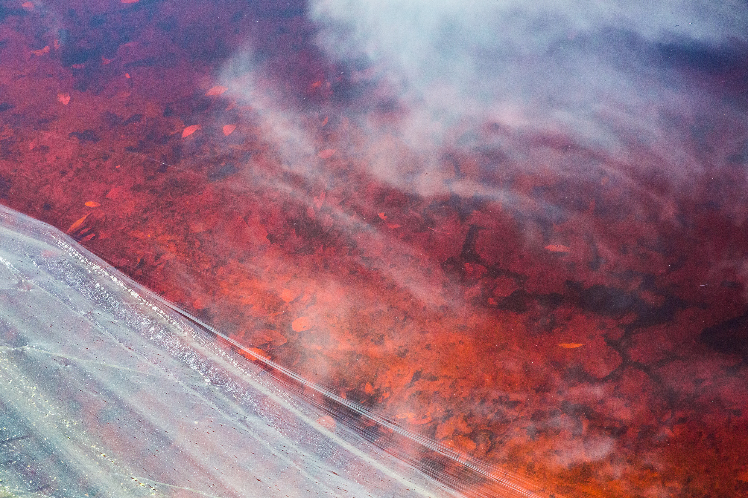 Татьяна Корчагина. Фотограф, художник. Обучение фотографии