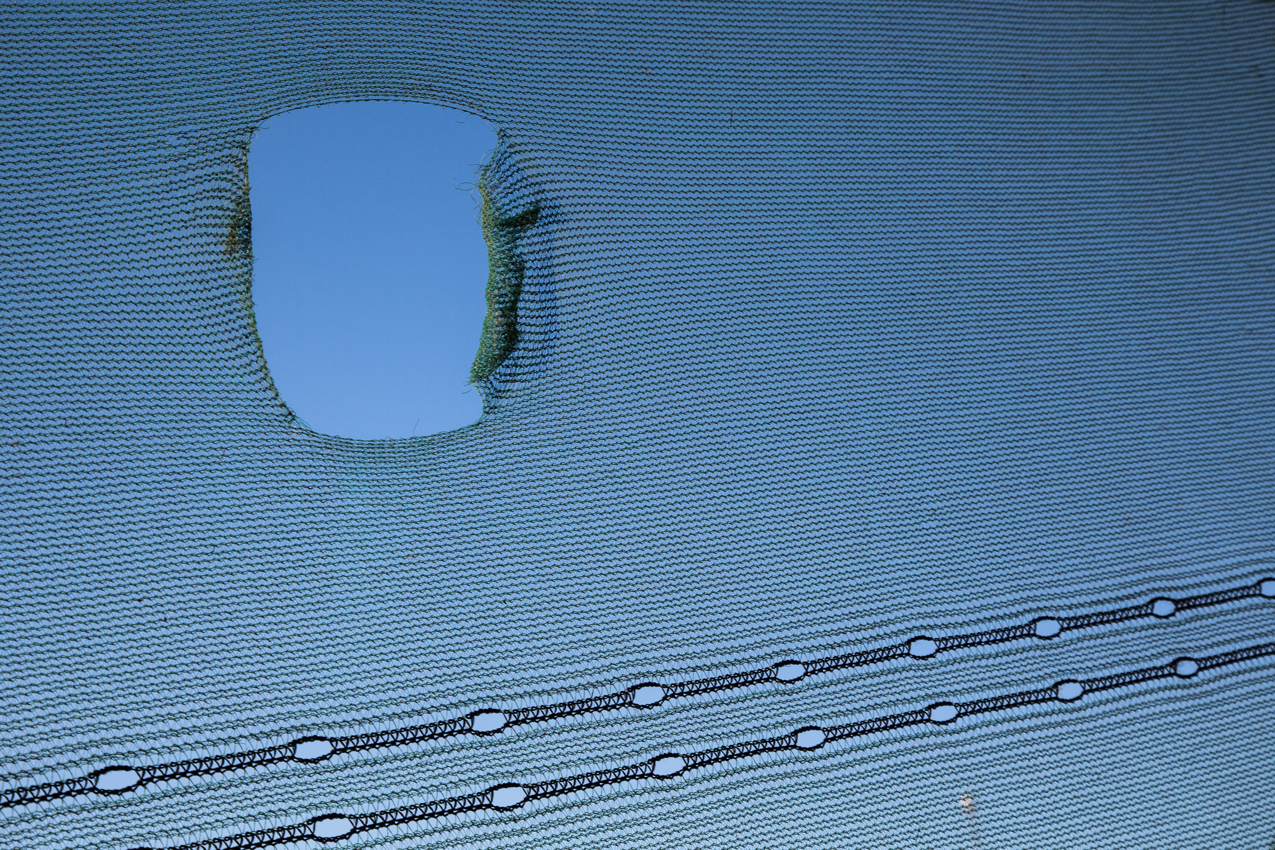 Татьяна Корчагина. Фотограф, художник. Обучение фотографии