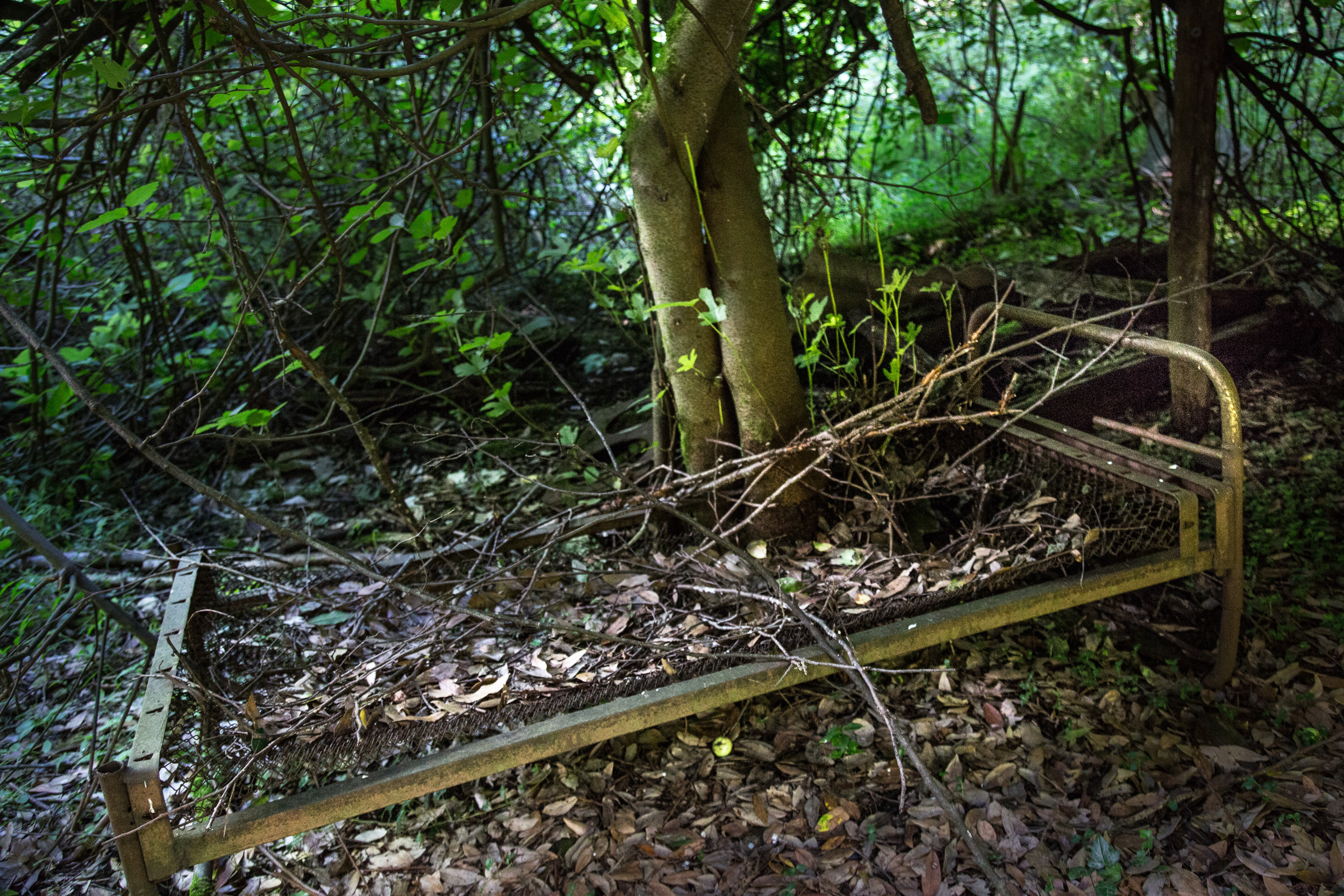 Татьяна Корчагина. Фотограф, художник. Обучение фотографии