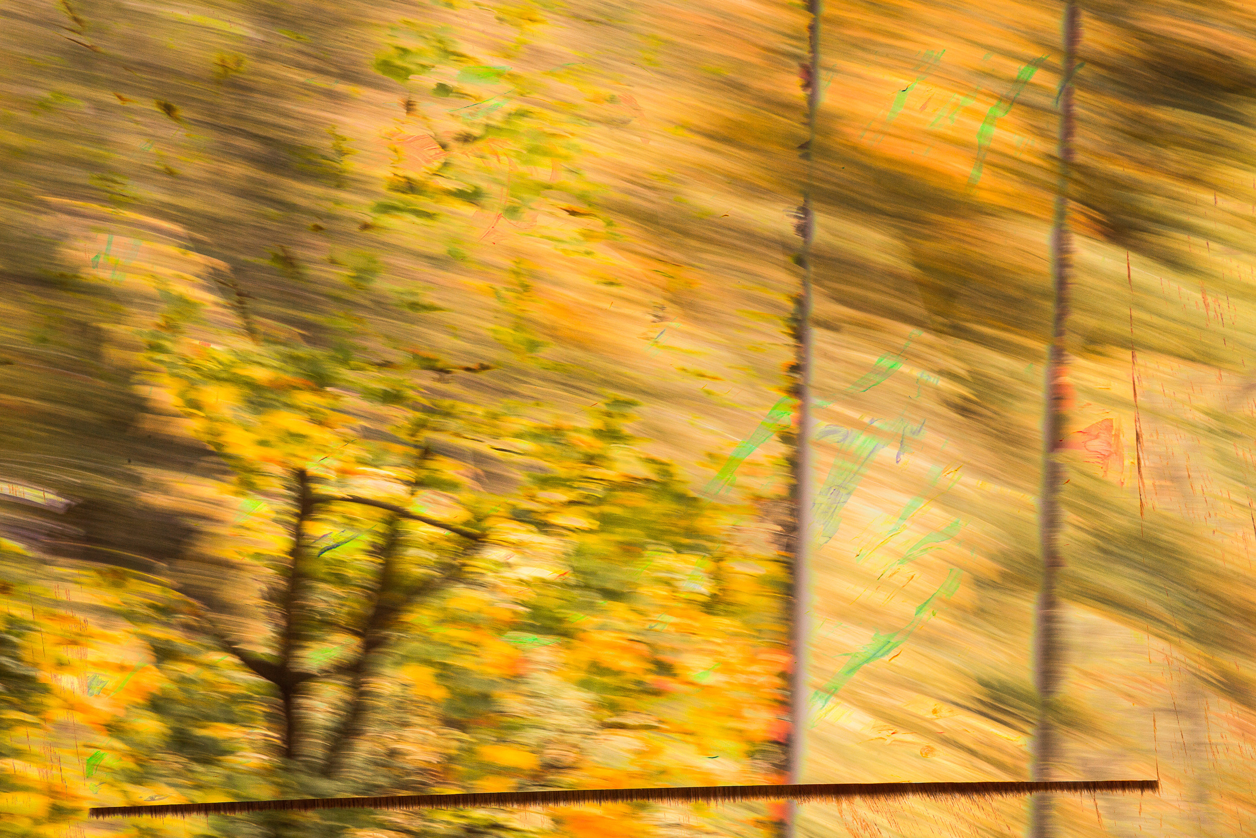 Татьяна Корчагина. Фотограф, художник. Обучение фотографии