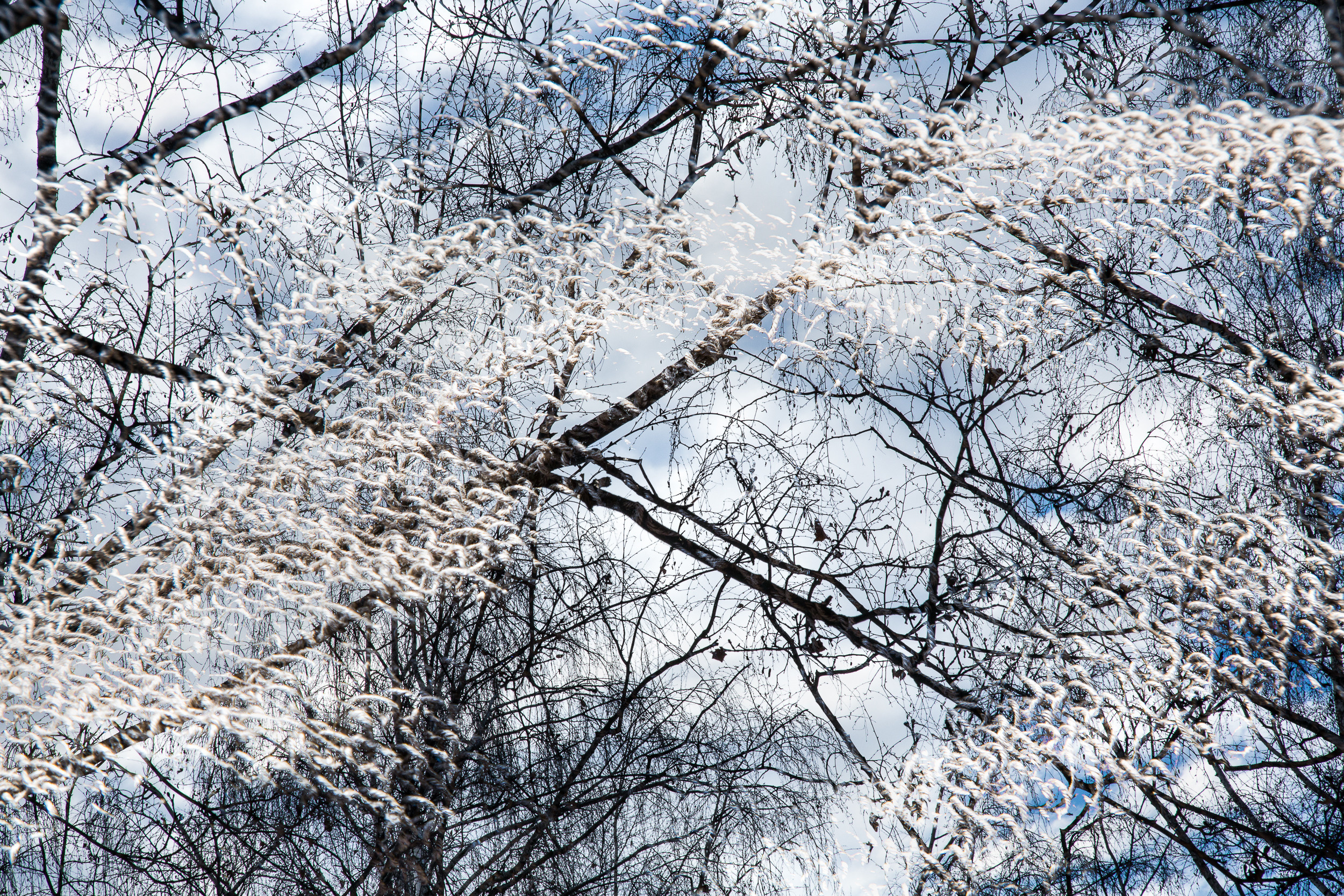 Татьяна Корчагина. Фотограф, художник. Обучение фотографии