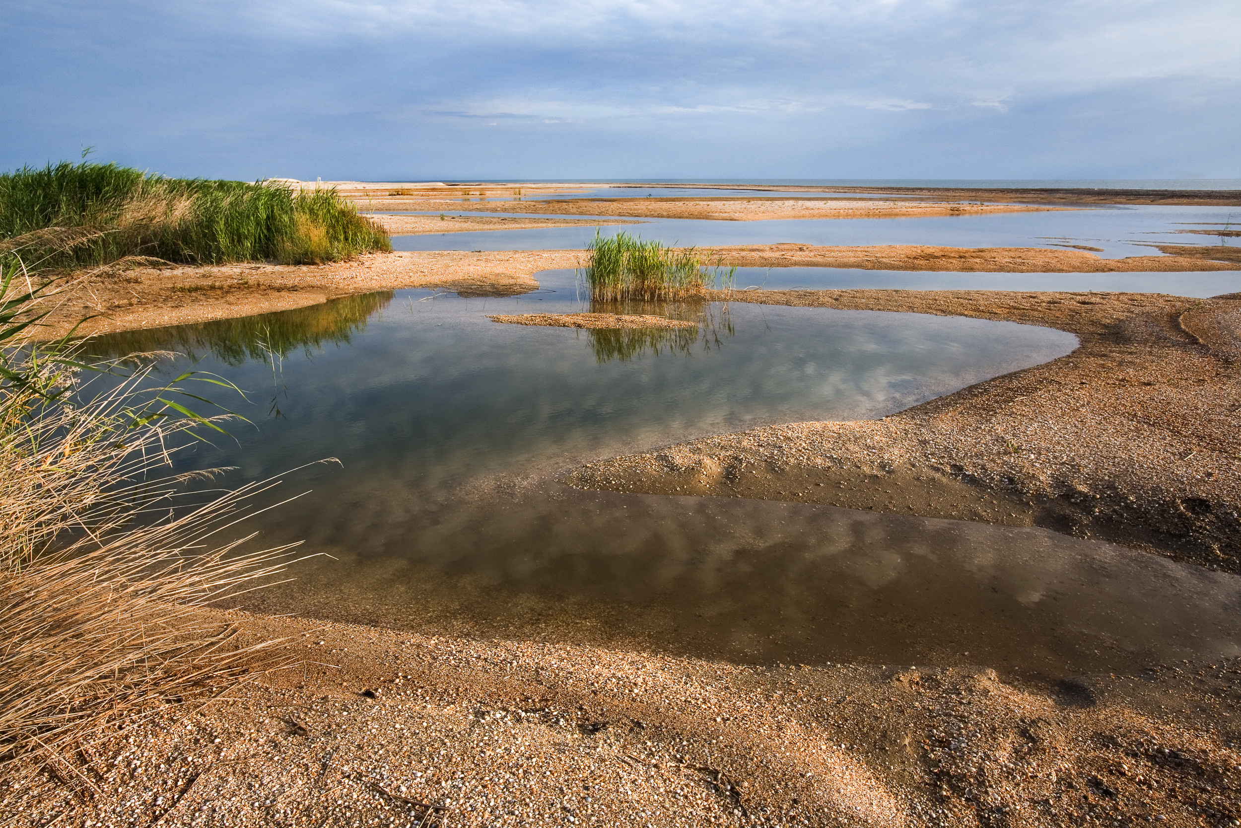 Татьяна Корчагина. Фотограф, художник. Обучение фотографии