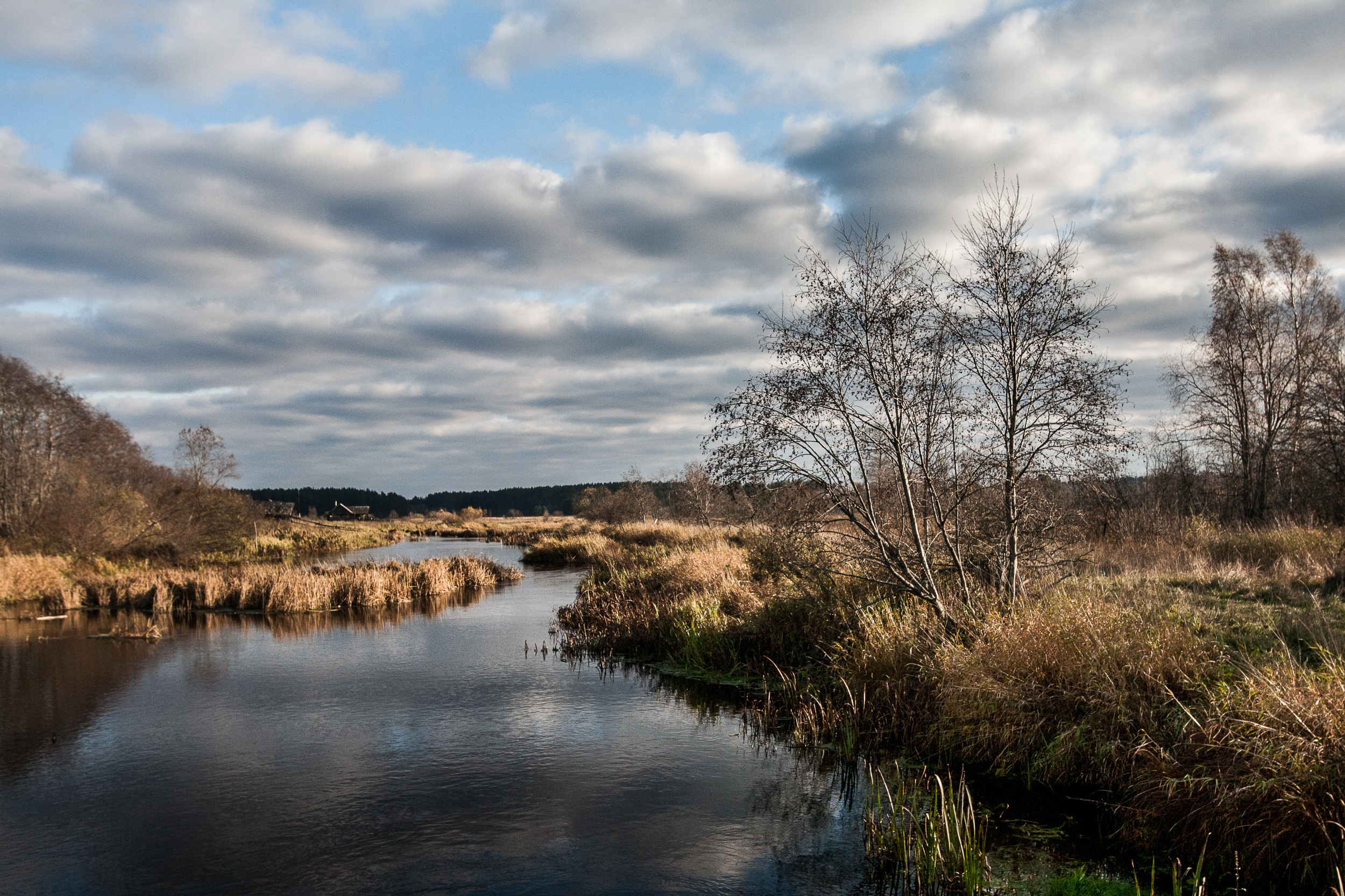 Татьяна Корчагина. Фотограф, художник. Обучение фотографии