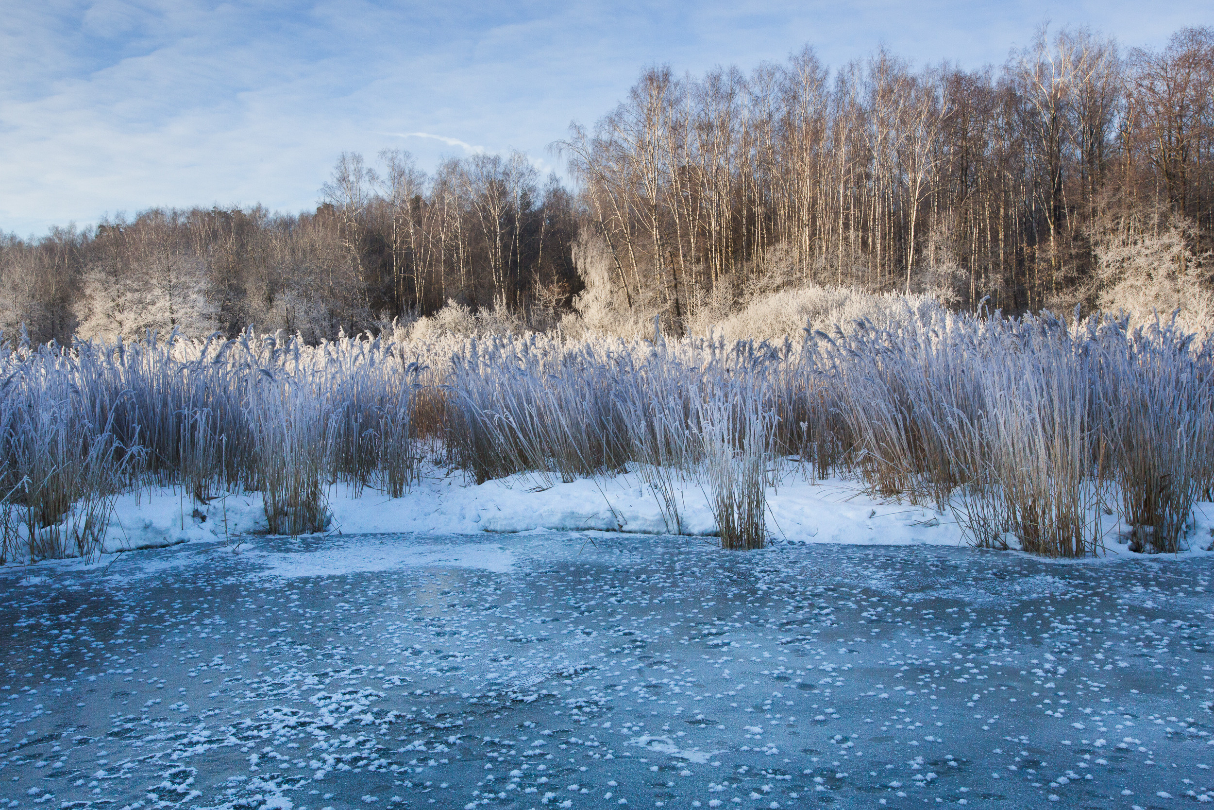 Татьяна Корчагина. Фотограф, художник. Обучение фотографии