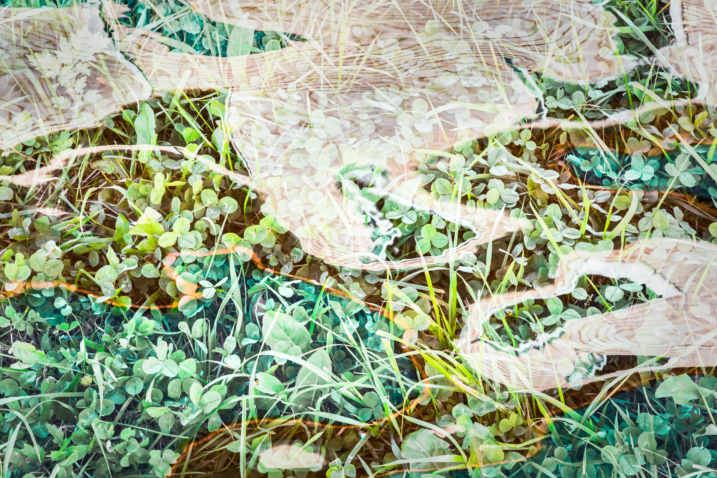 Татьяна Корчагина. Фотограф, художник. Обучение фотографии