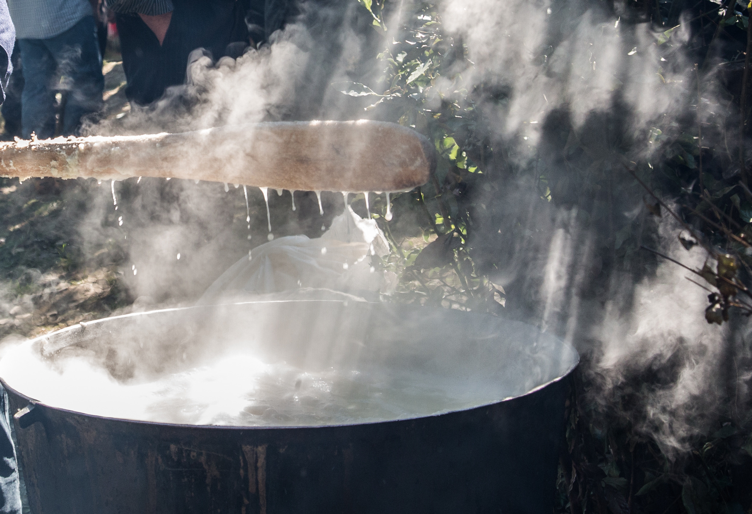 Татьяна Корчагина. Фотограф, художник. Обучение фотографии