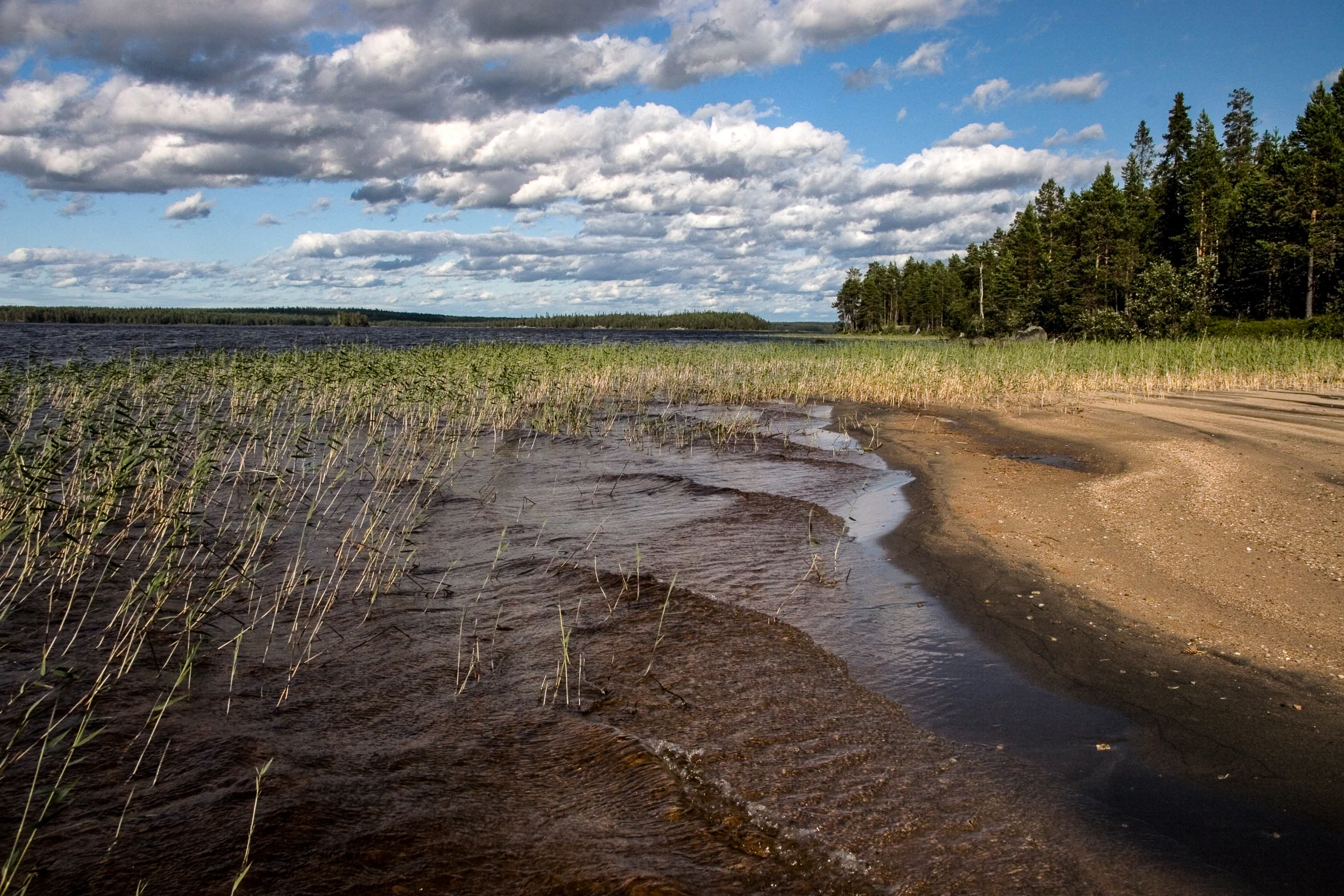 Татьяна Корчагина. Фотограф, художник. Обучение фотографии