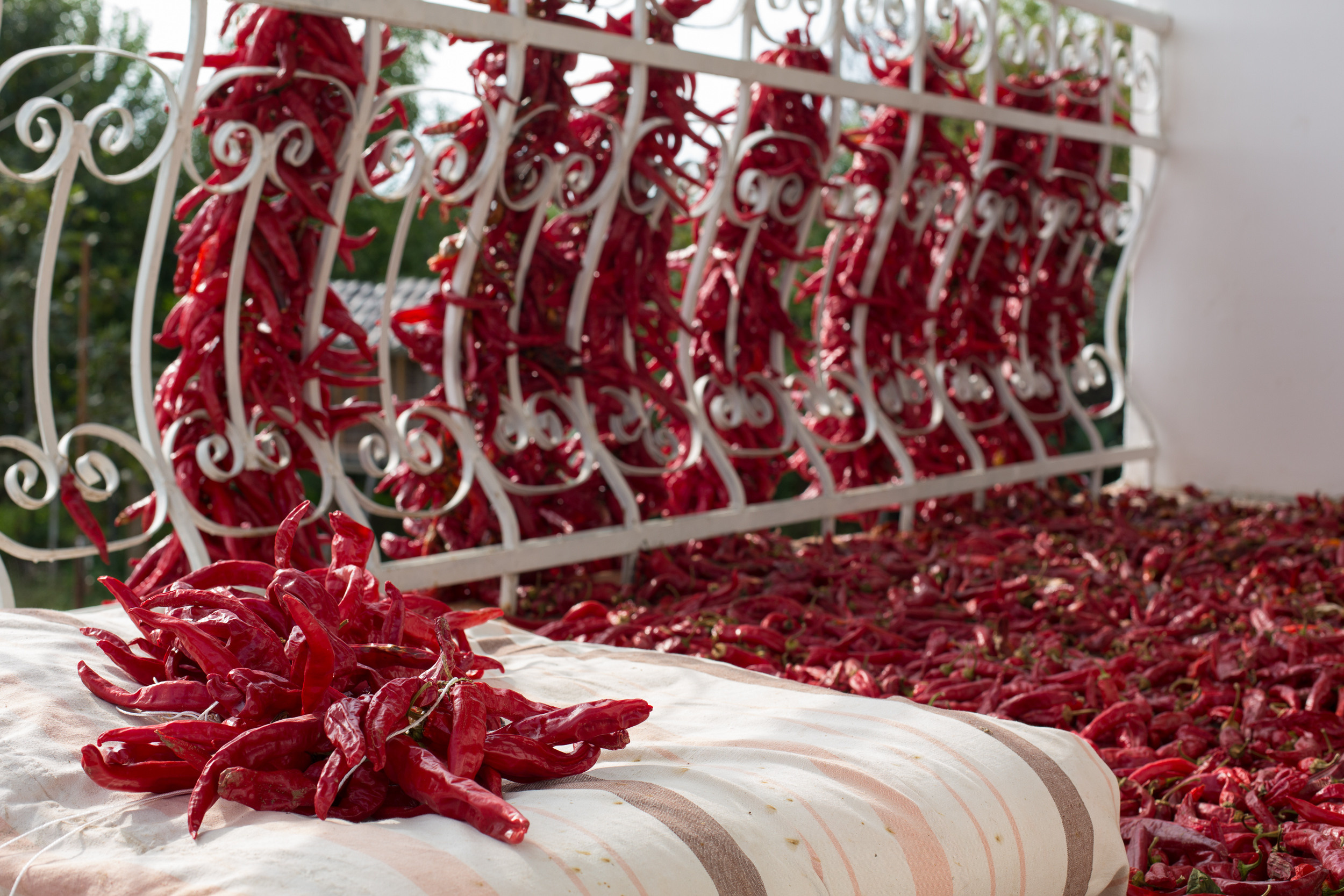 Татьяна Корчагина. Фотограф, художник. Обучение фотографии