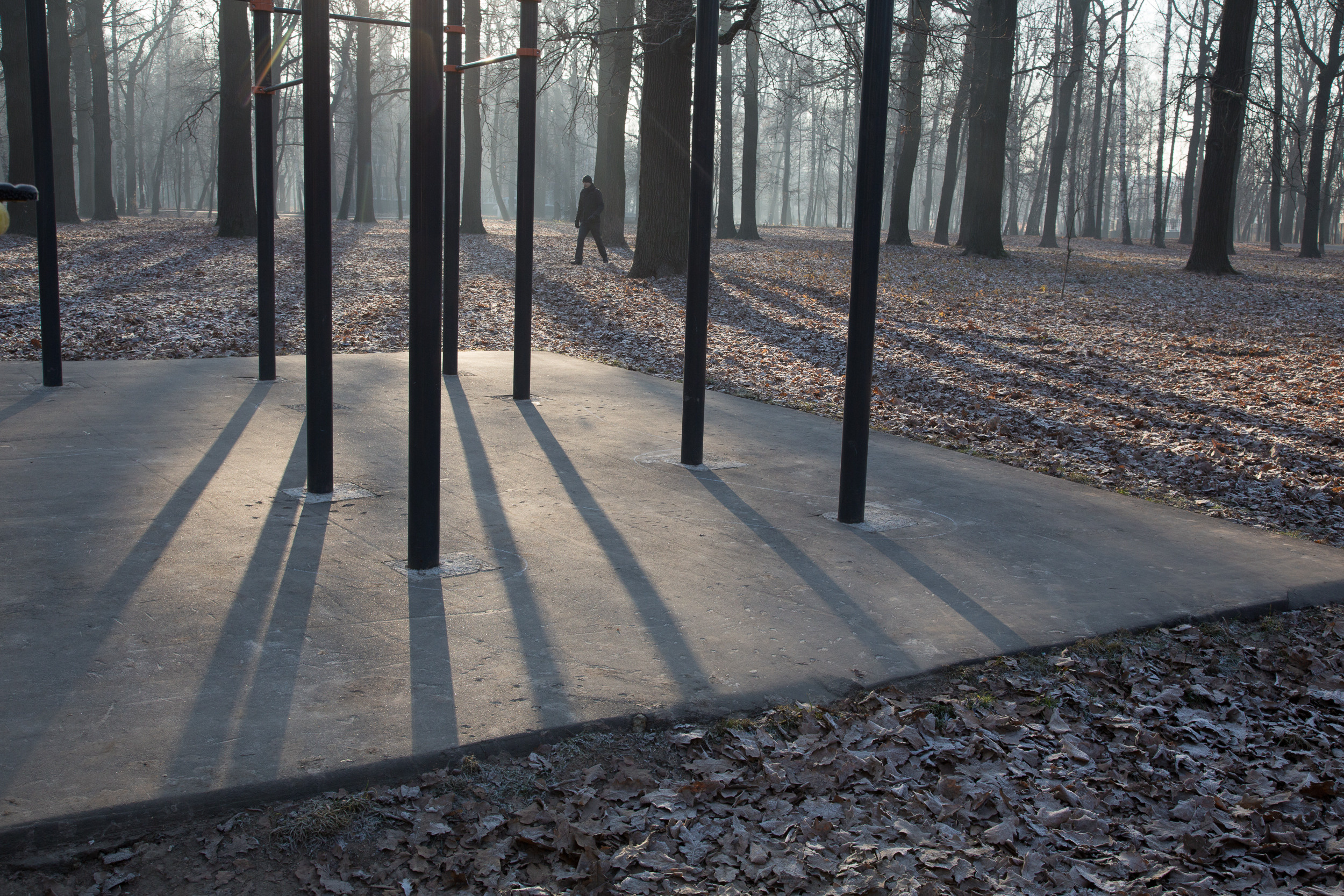 Татьяна Корчагина. Фотограф, художник. Обучение фотографии