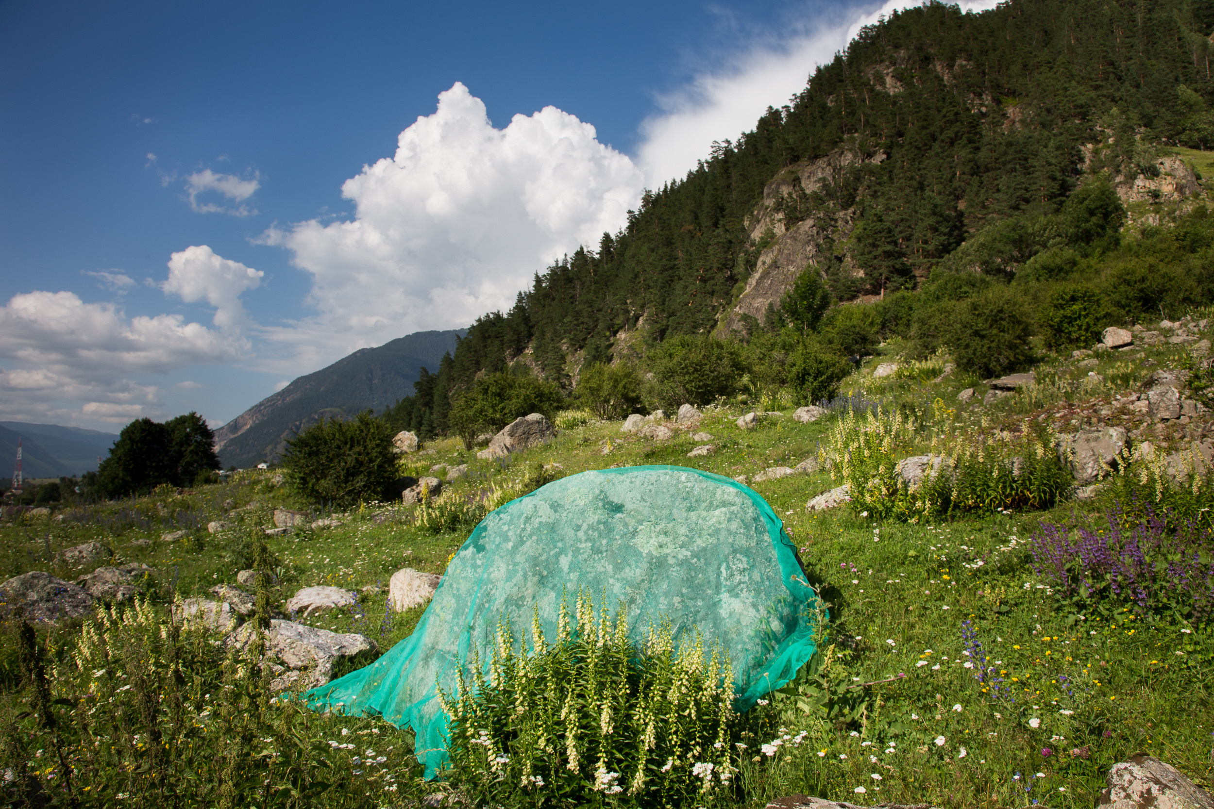 Татьяна Корчагина. Фотограф, художник. Обучение фотографии