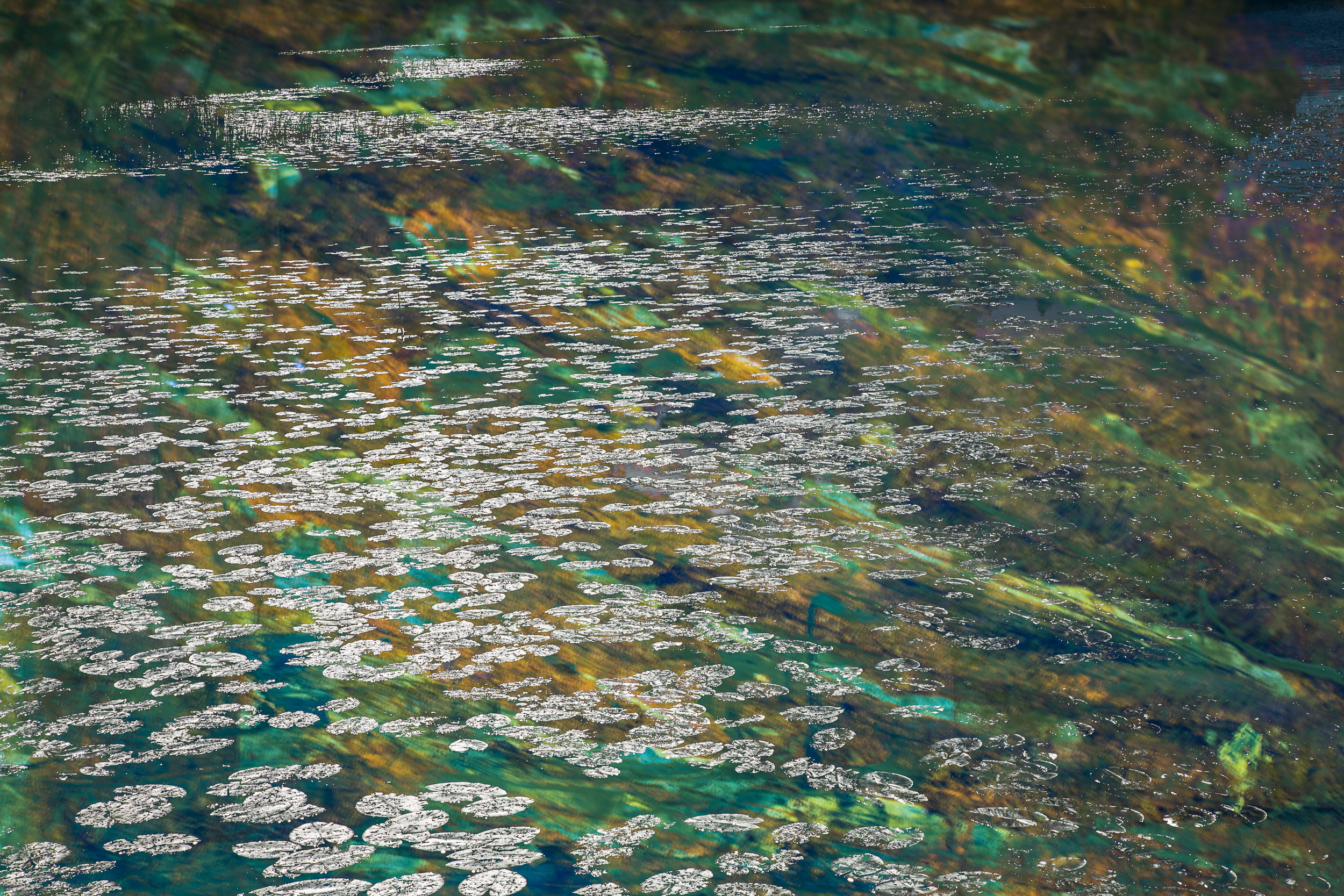 Татьяна Корчагина. Фотограф, художник. Обучение фотографии