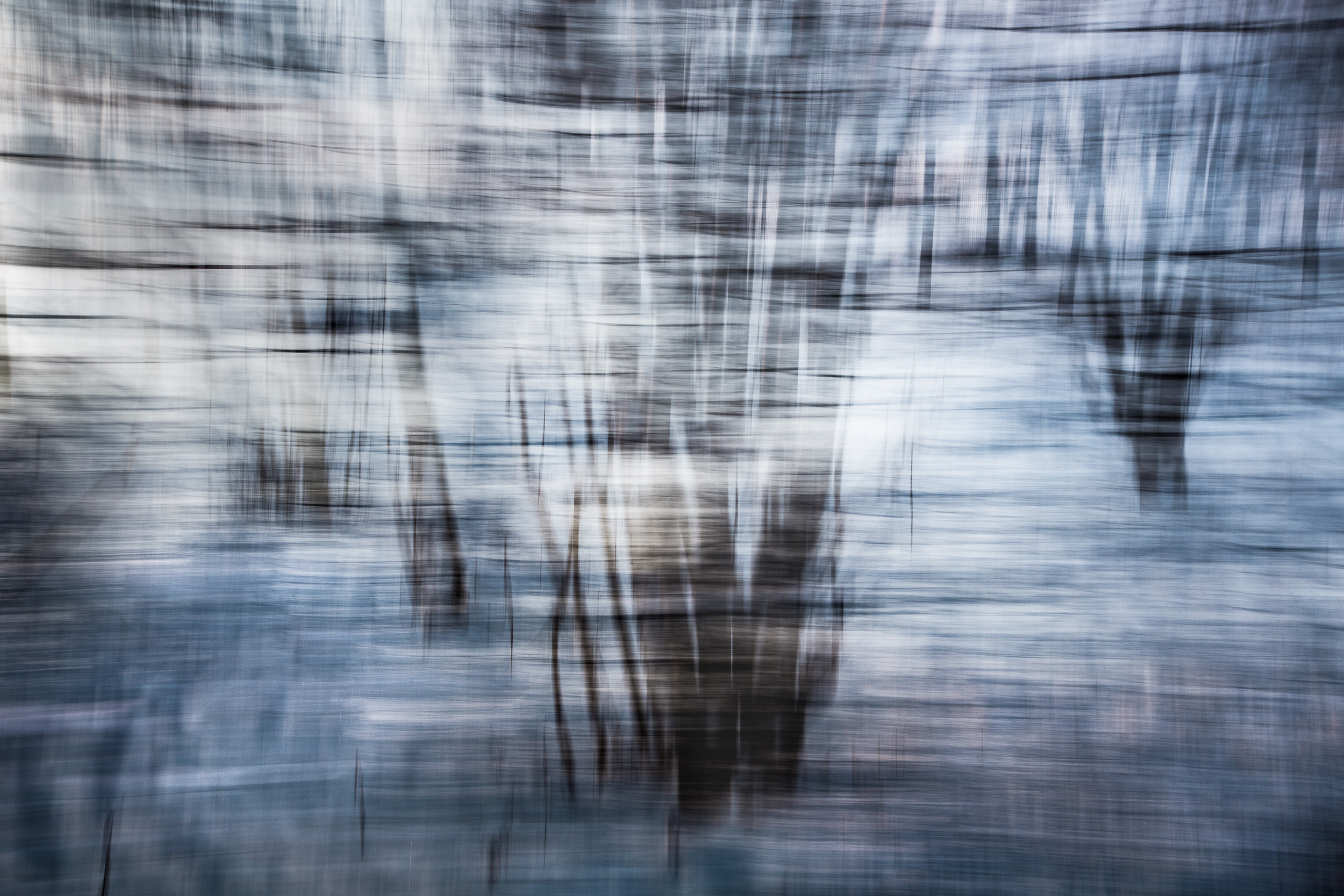 Татьяна Корчагина. Фотограф, художник. Обучение фотографии