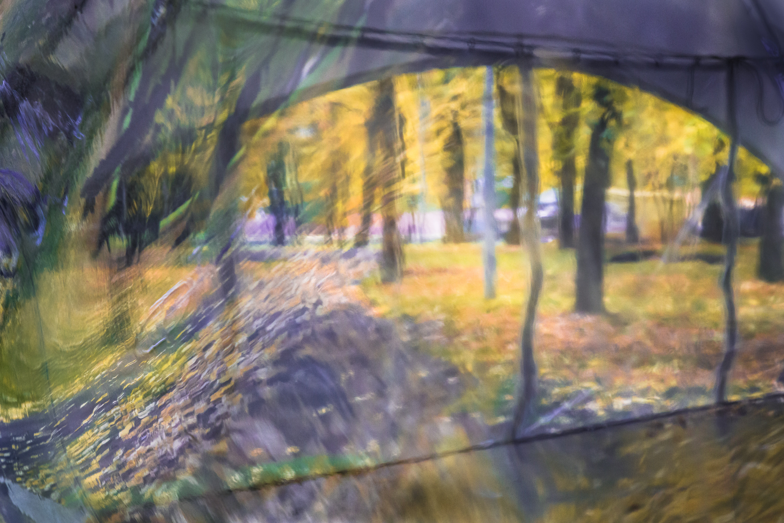 Татьяна Корчагина. Фотограф, художник. Обучение фотографии