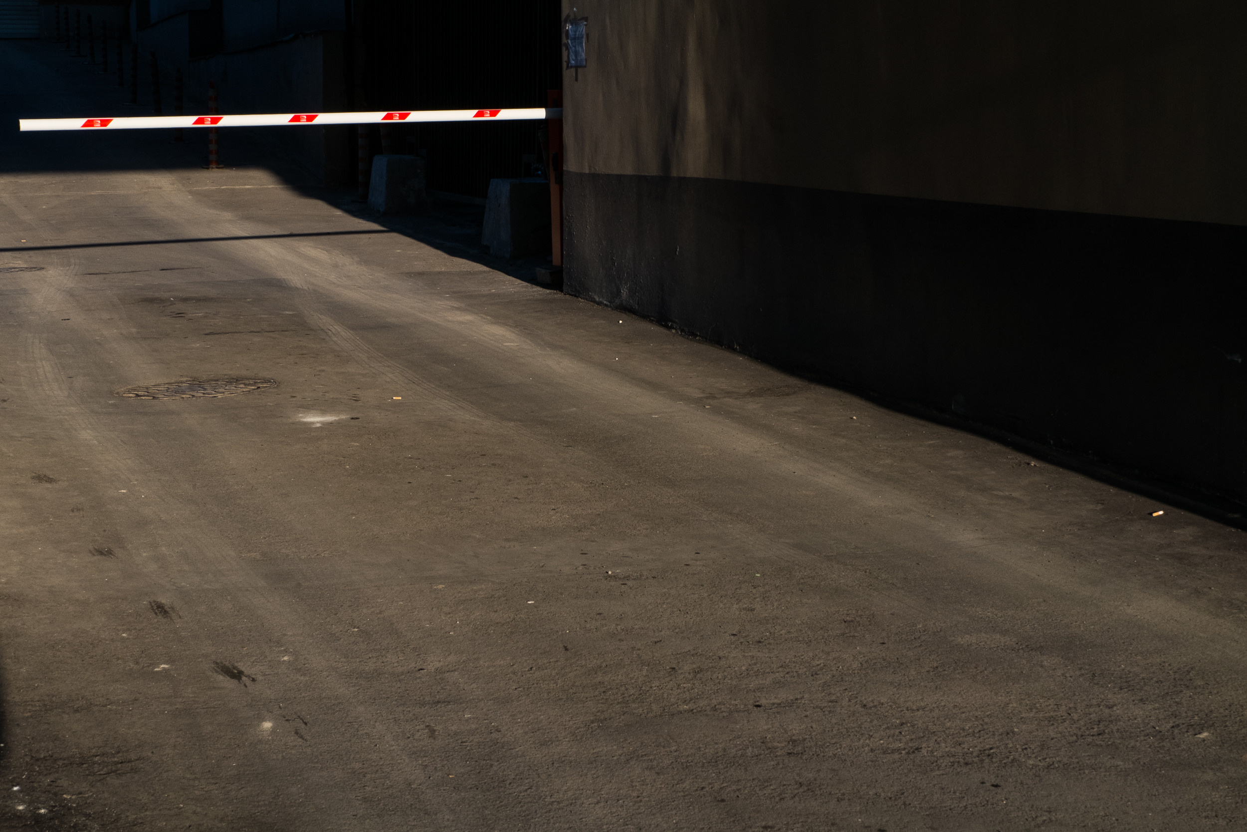 Татьяна Корчагина. Фотограф, художник. Обучение фотографии