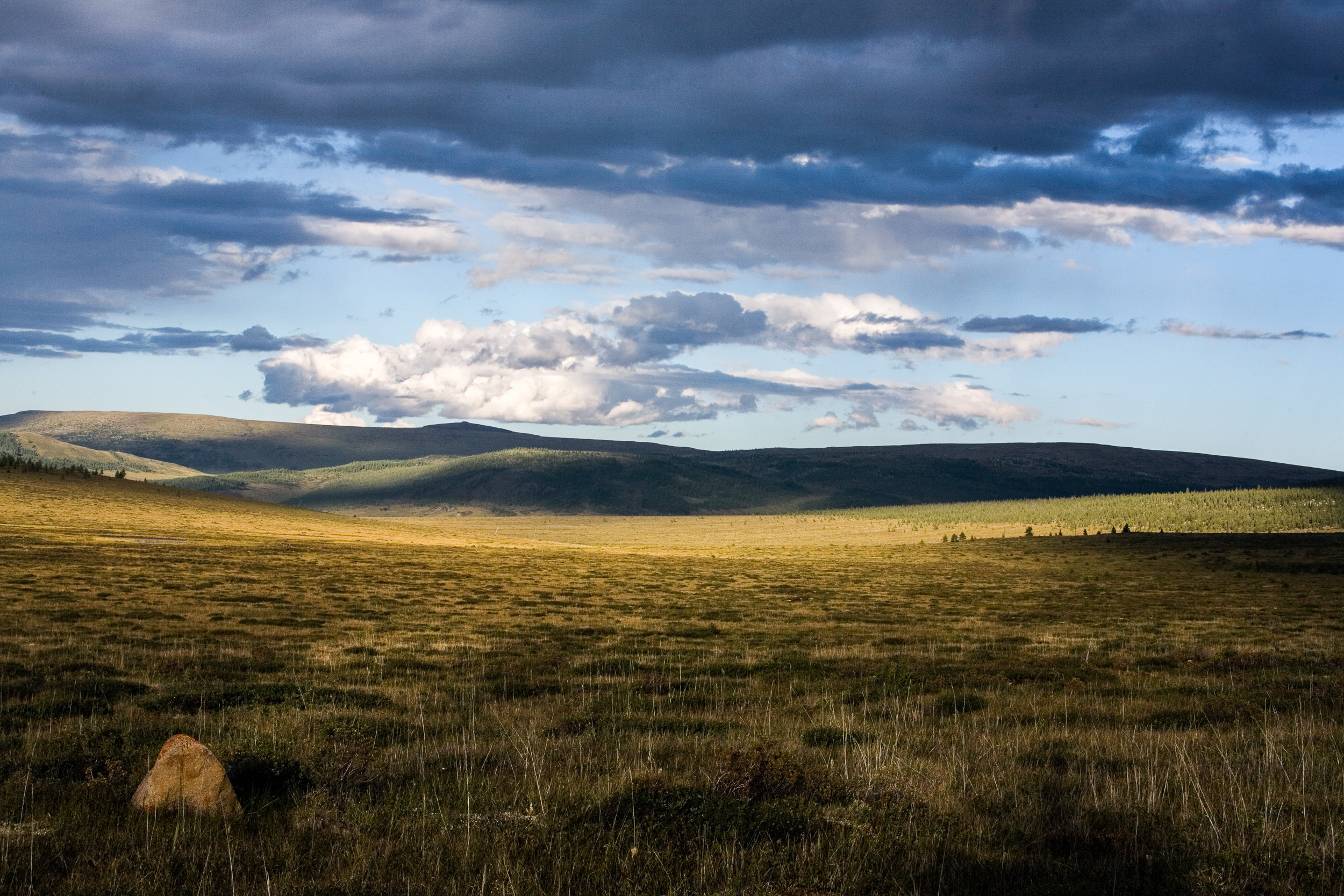 Татьяна Корчагина. Фотограф, художник. Обучение фотографии