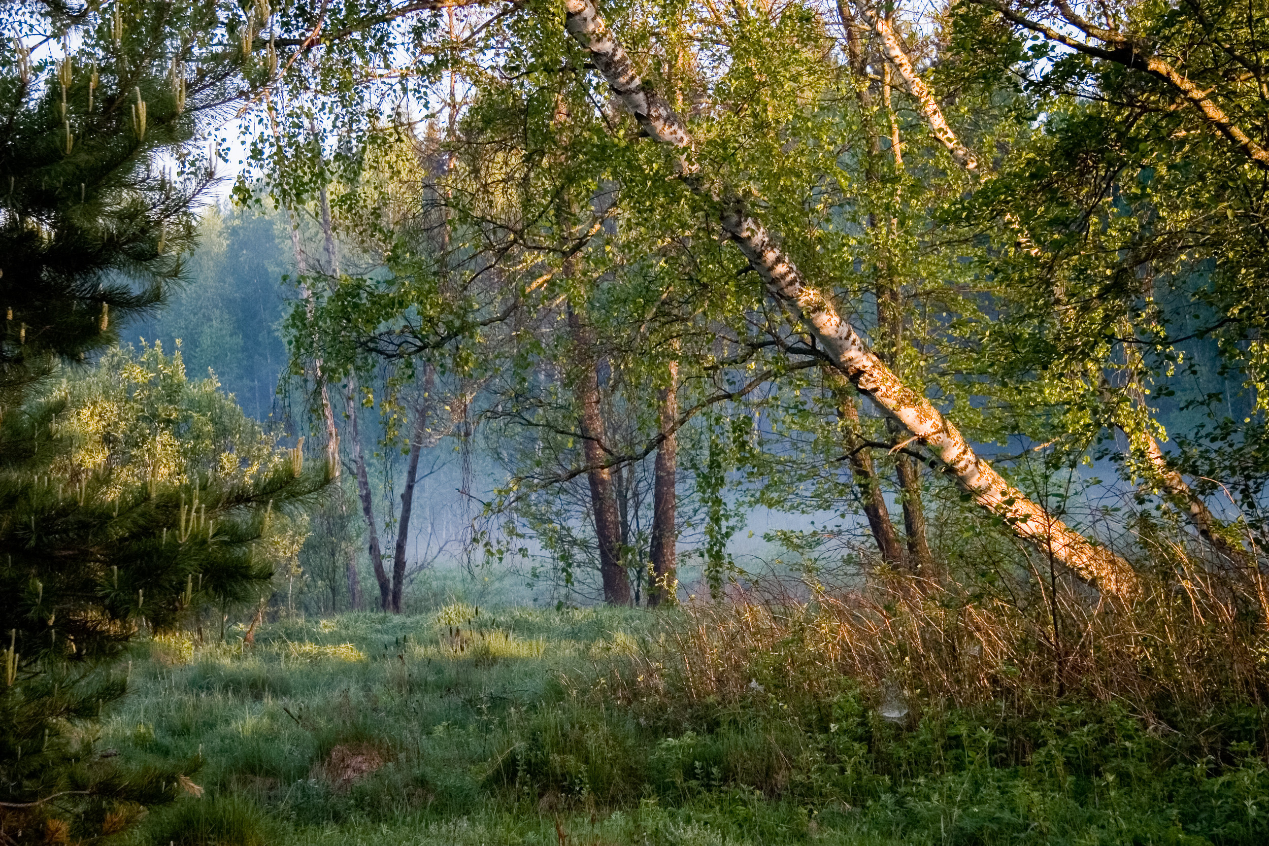 Татьяна Корчагина. Фотограф, художник. Обучение фотографии