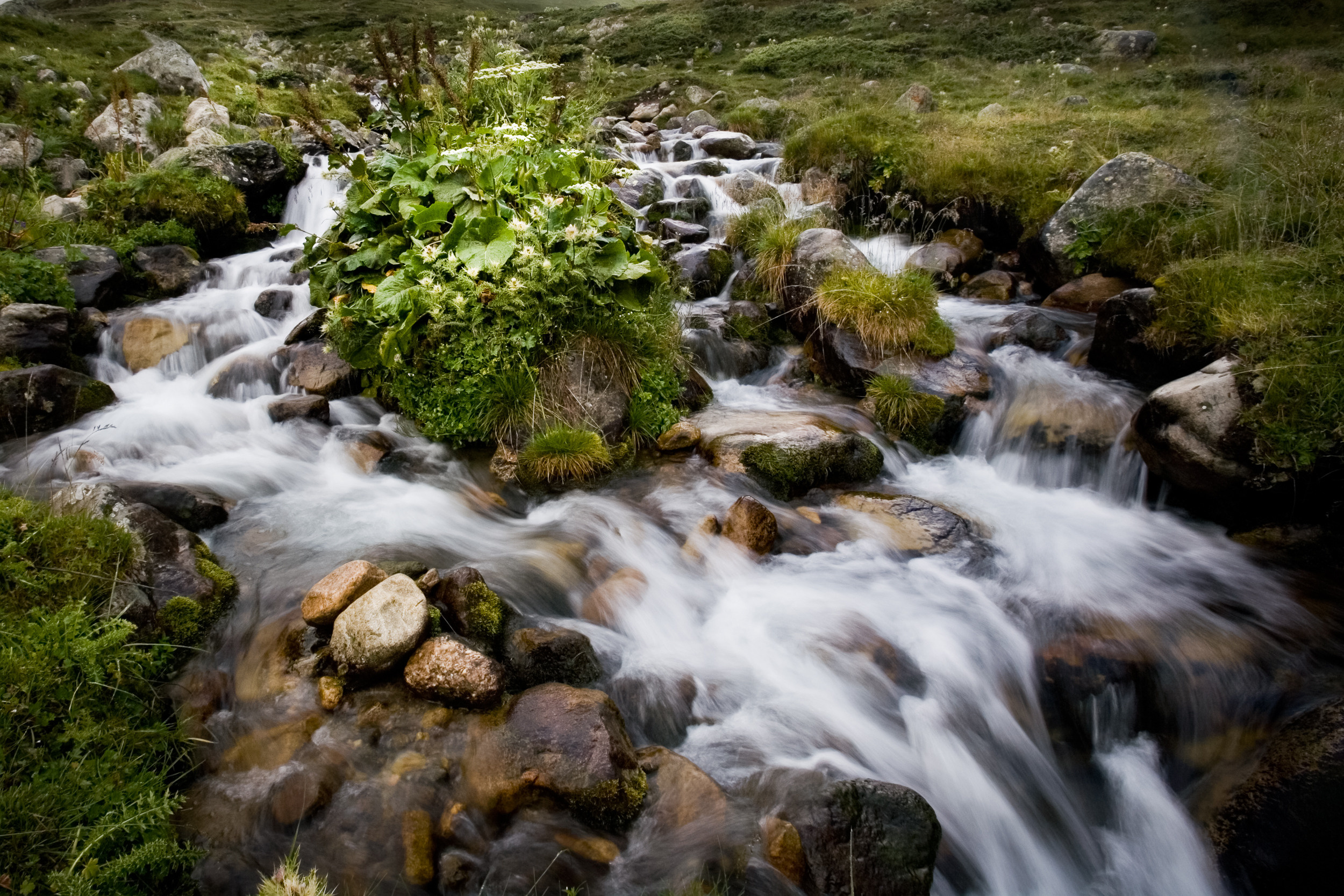 Татьяна Корчагина. Фотограф, художник. Обучение фотографии