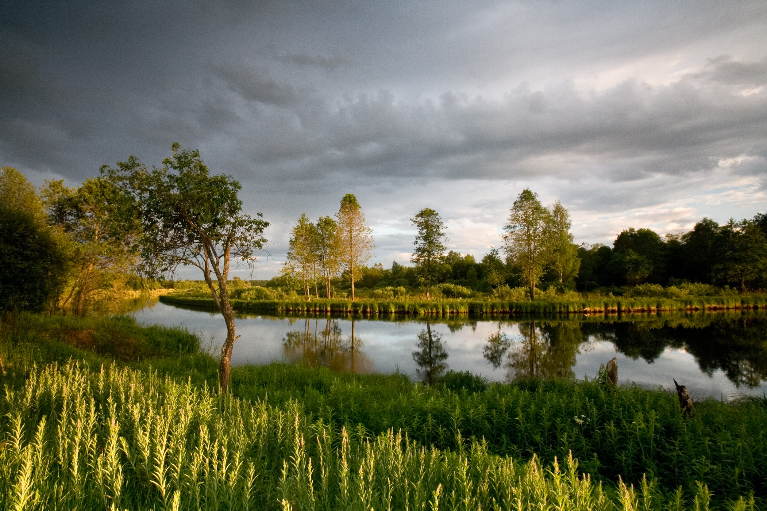 Татьяна Корчагина. Фотограф, художник. Обучение фотографии