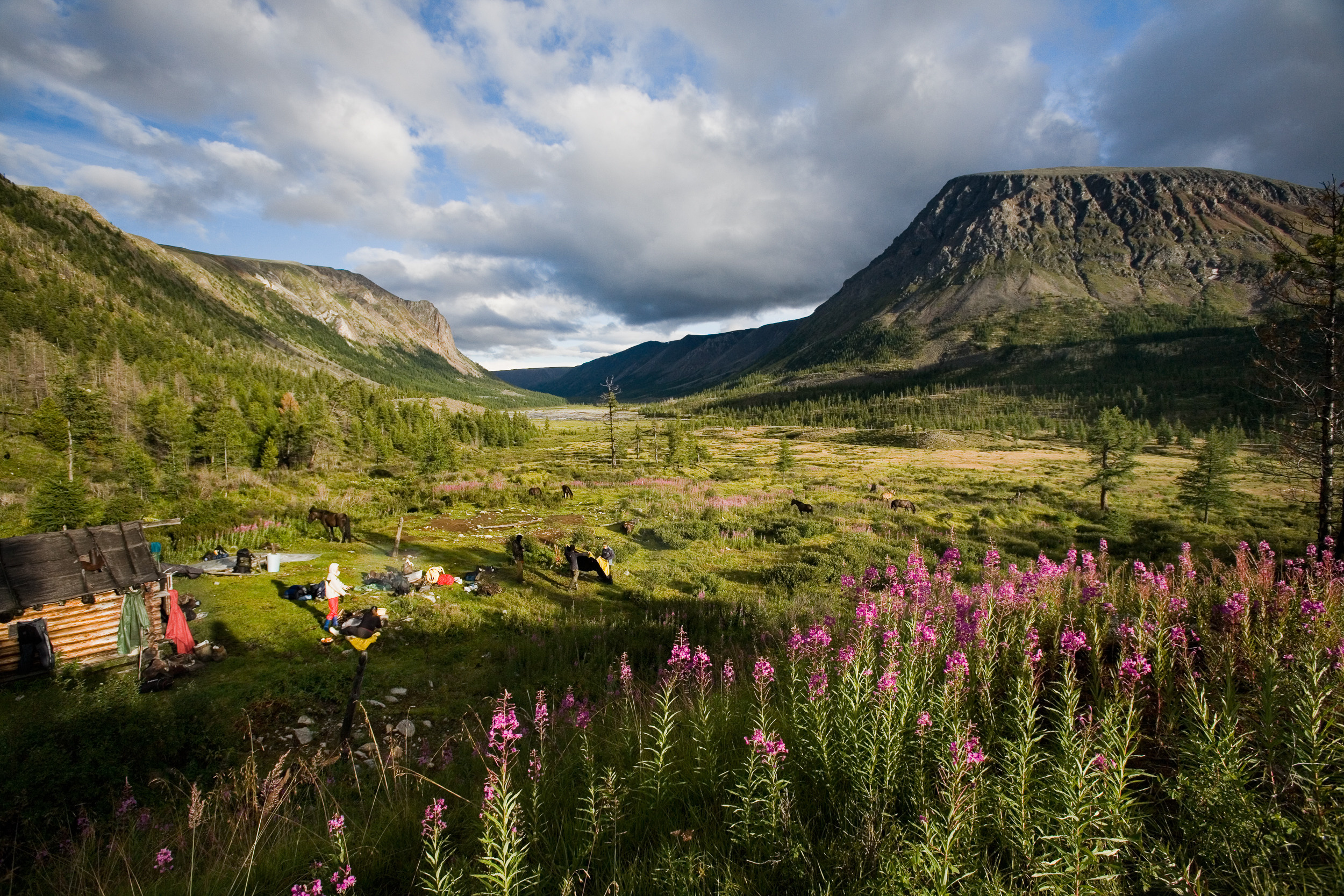 Татьяна Корчагина. Фотограф, художник. Обучение фотографии