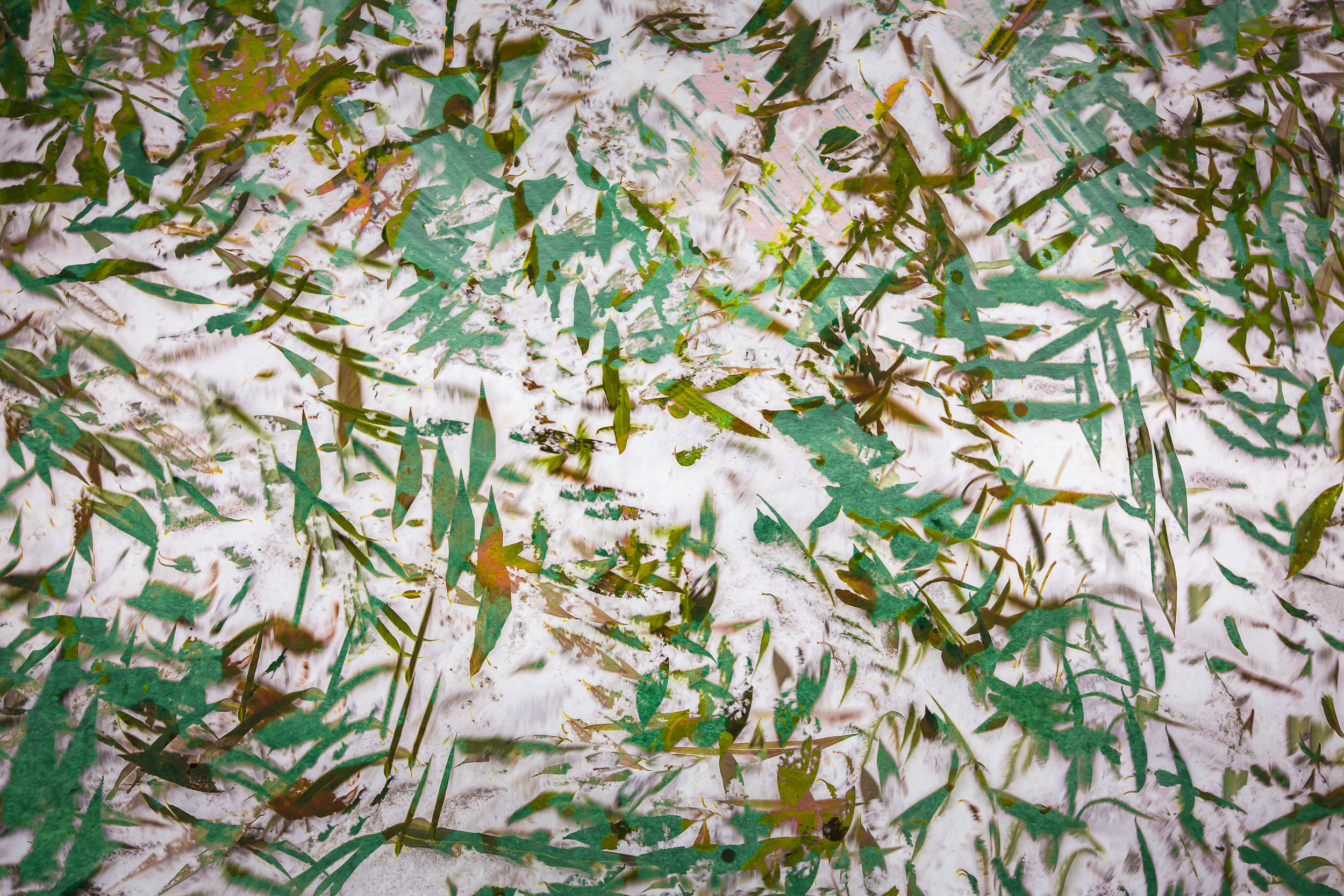 Татьяна Корчагина. Фотограф, художник. Обучение фотографии