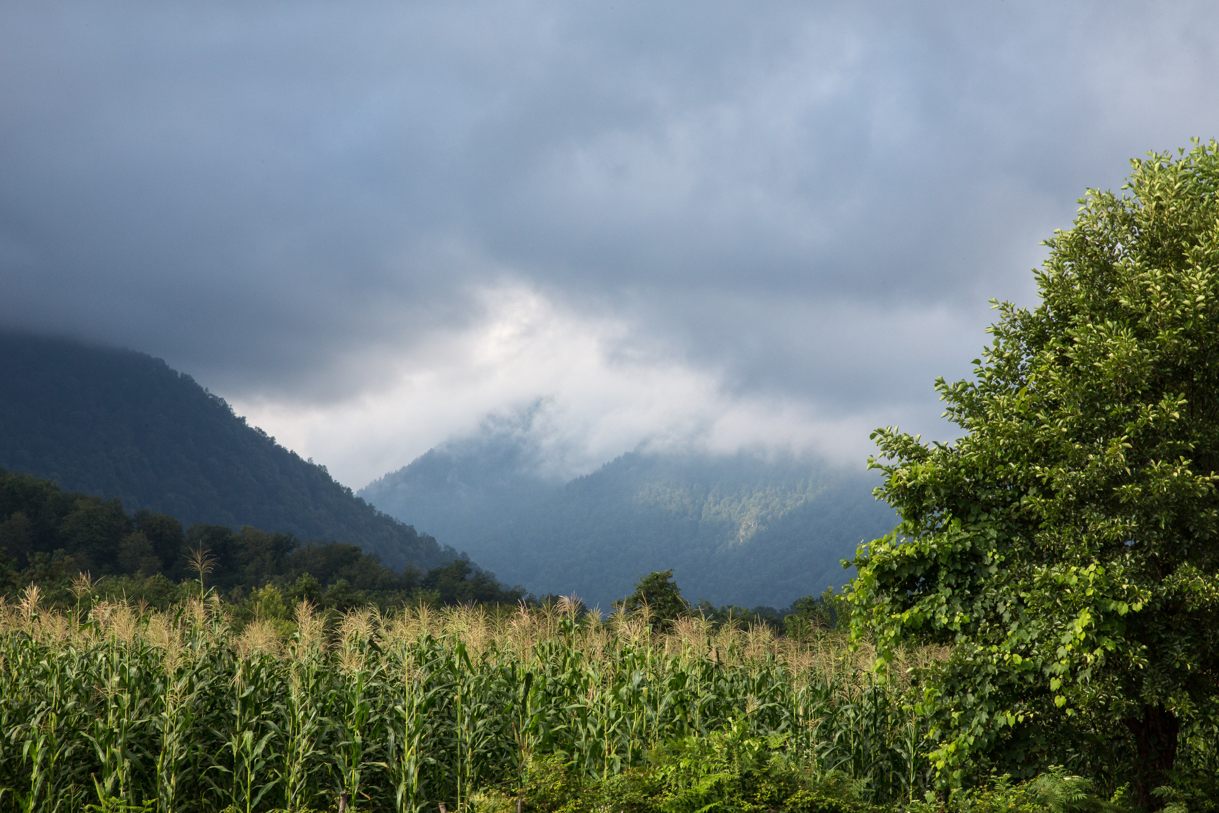 Татьяна Корчагина. Фотограф, художник. Обучение фотографии